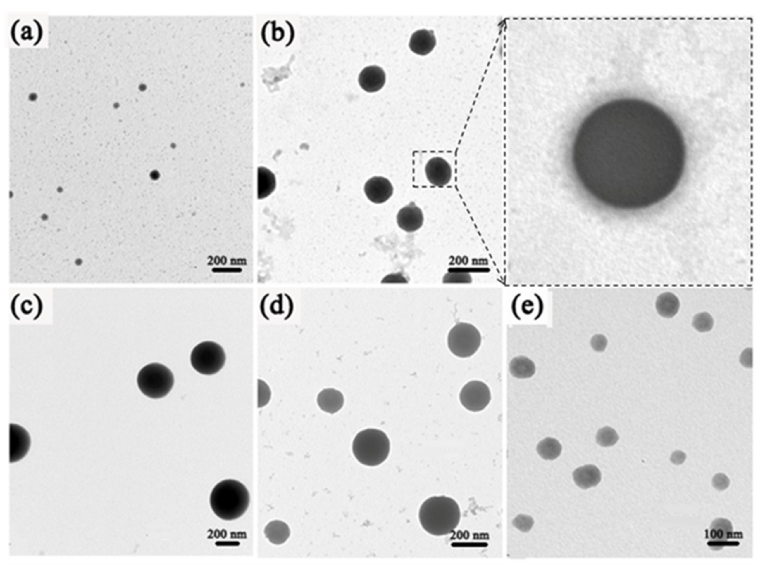 Nanomaterials 09 00363 g005 550