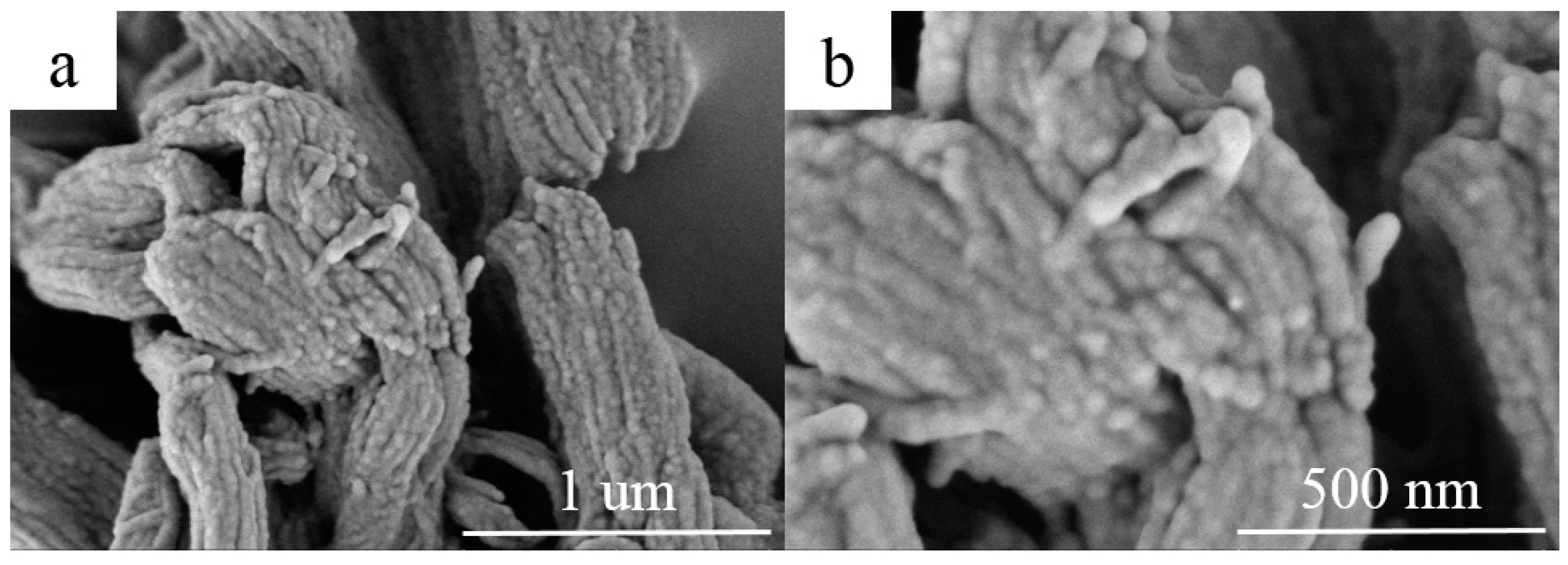Nanomaterials 09 00364 g005