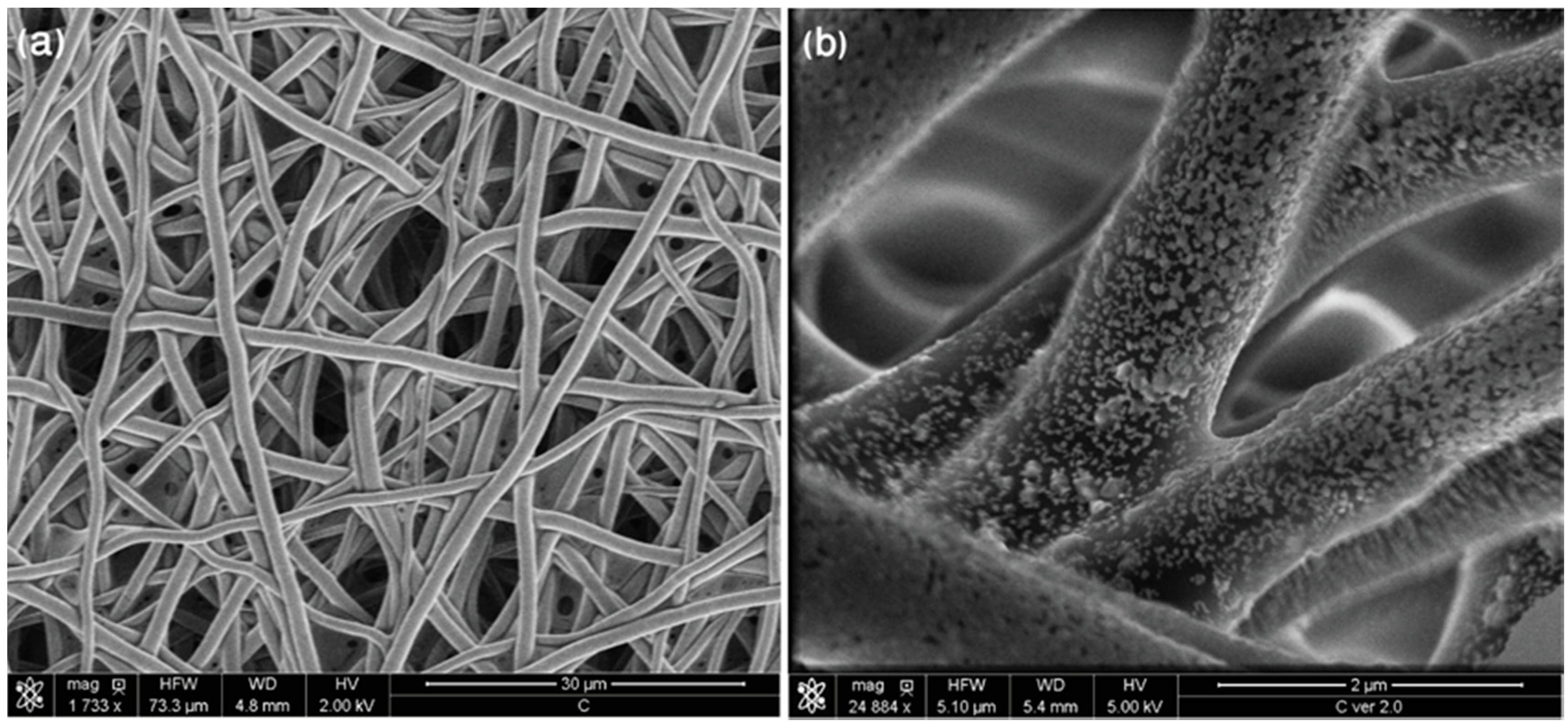 Nanomaterials 09 00366 g002
