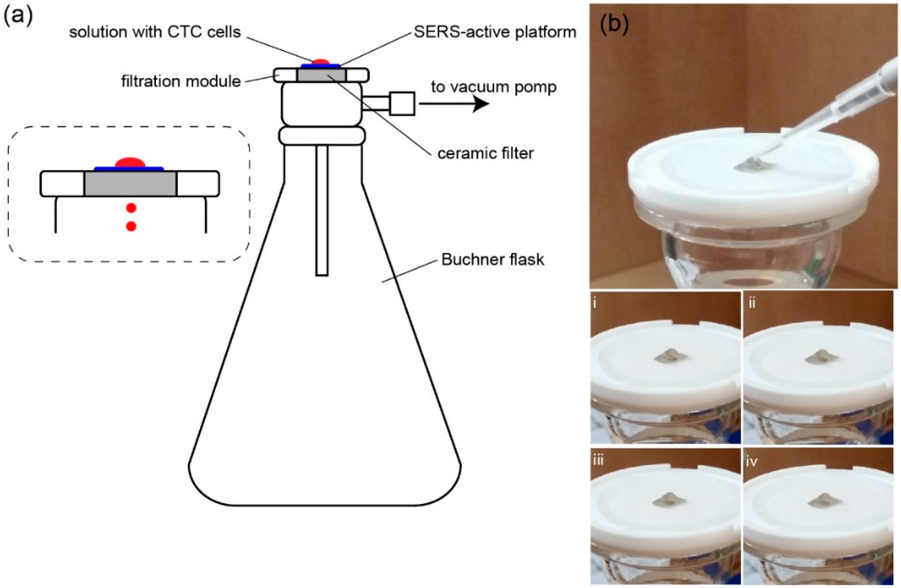 Nanomaterials 09 00366 g003