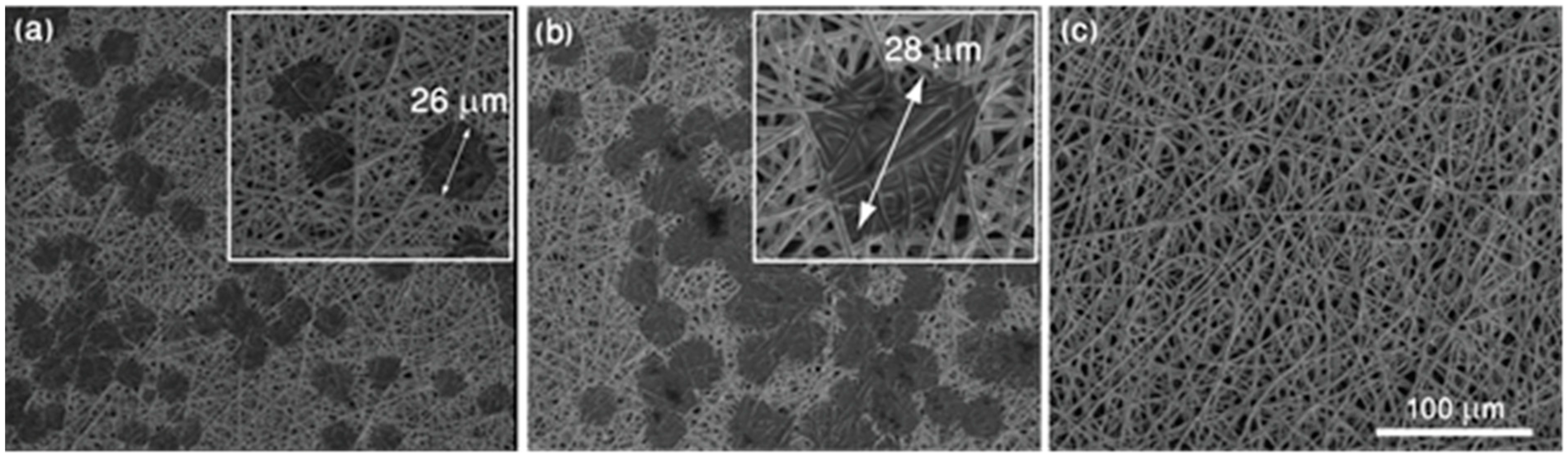 Nanomaterials 09 00366 g005