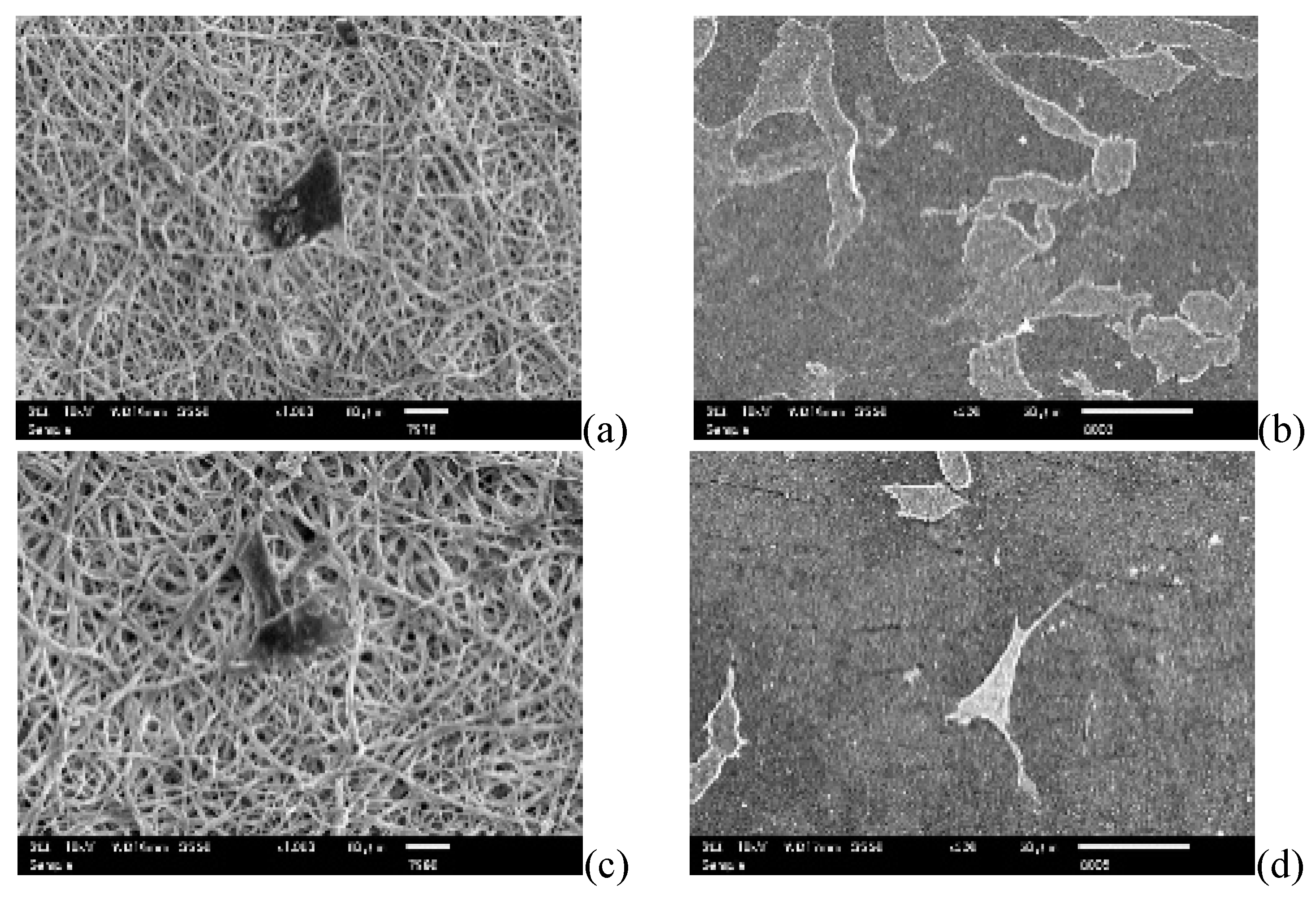 Nanomaterials 09 00367 g009a Nanomaterials 09 00367 g009a