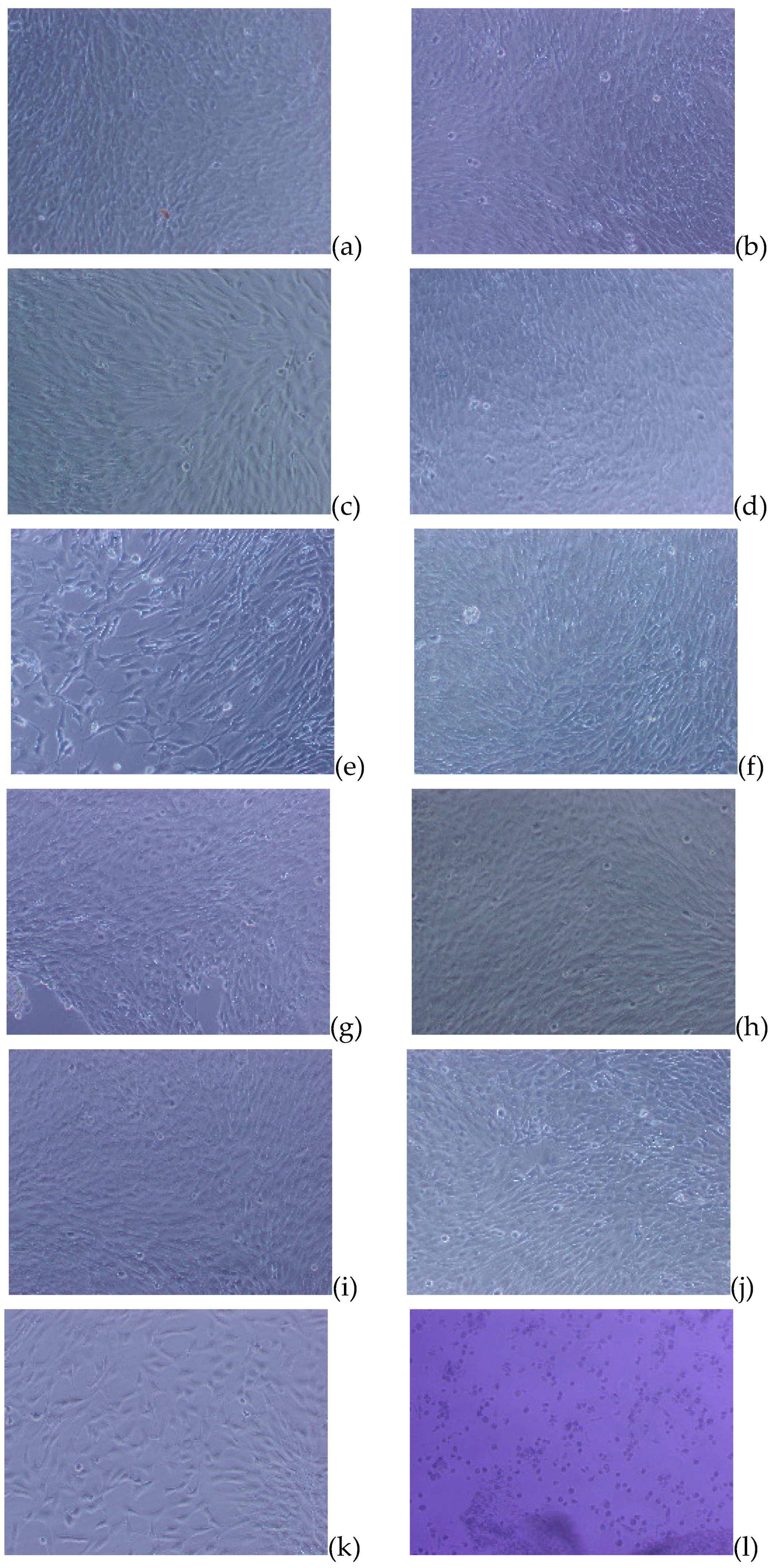 Nanomaterials 09 00367 g011 Nanomaterials 09 00367 g011