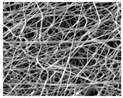 Nanomaterials 09 00367 i009 Nanomaterials 09 00367 i009