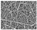 Nanomaterials 09 00367 i010 Nanomaterials 09 00367 i010