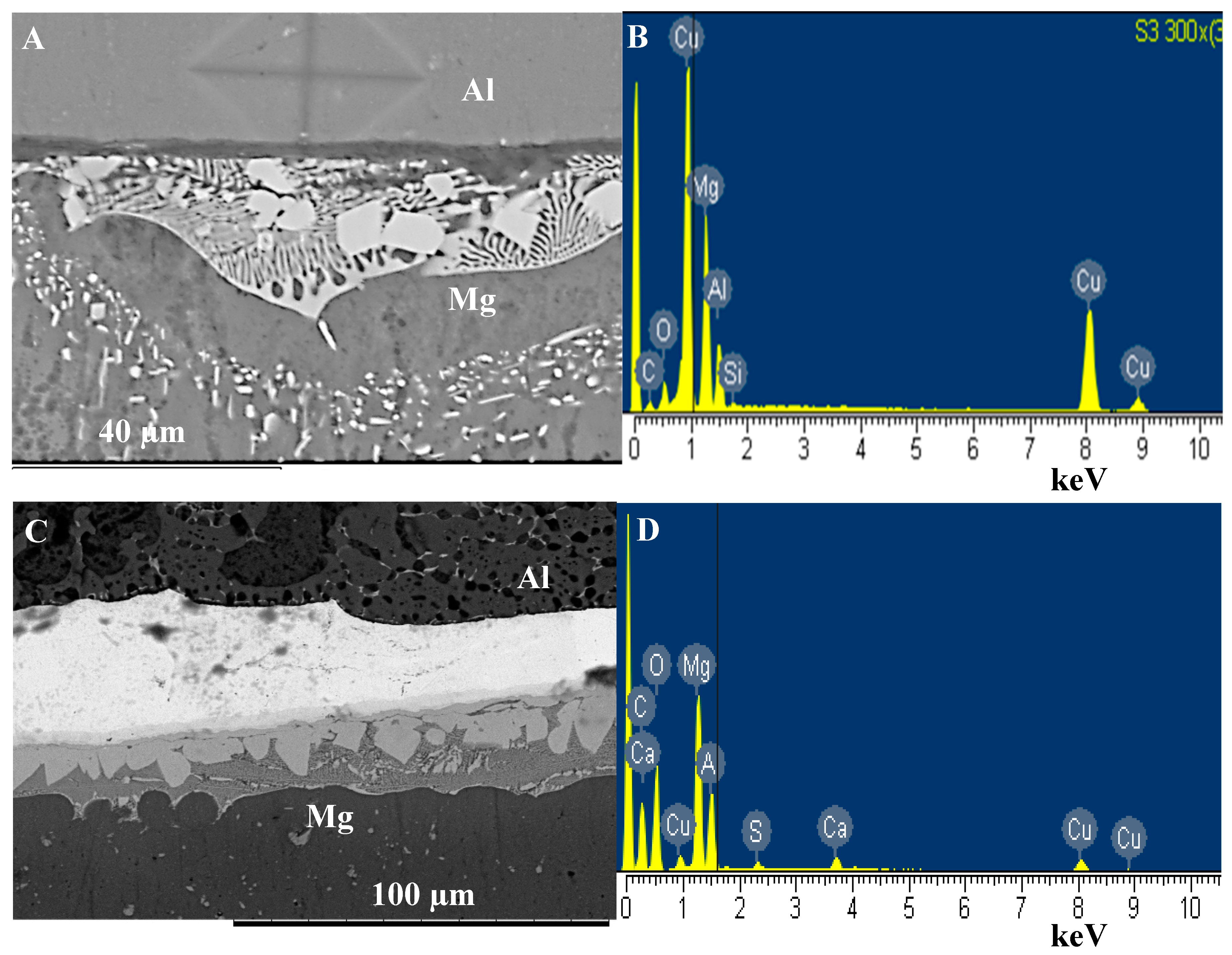 Nanomaterials 09 00370 g004