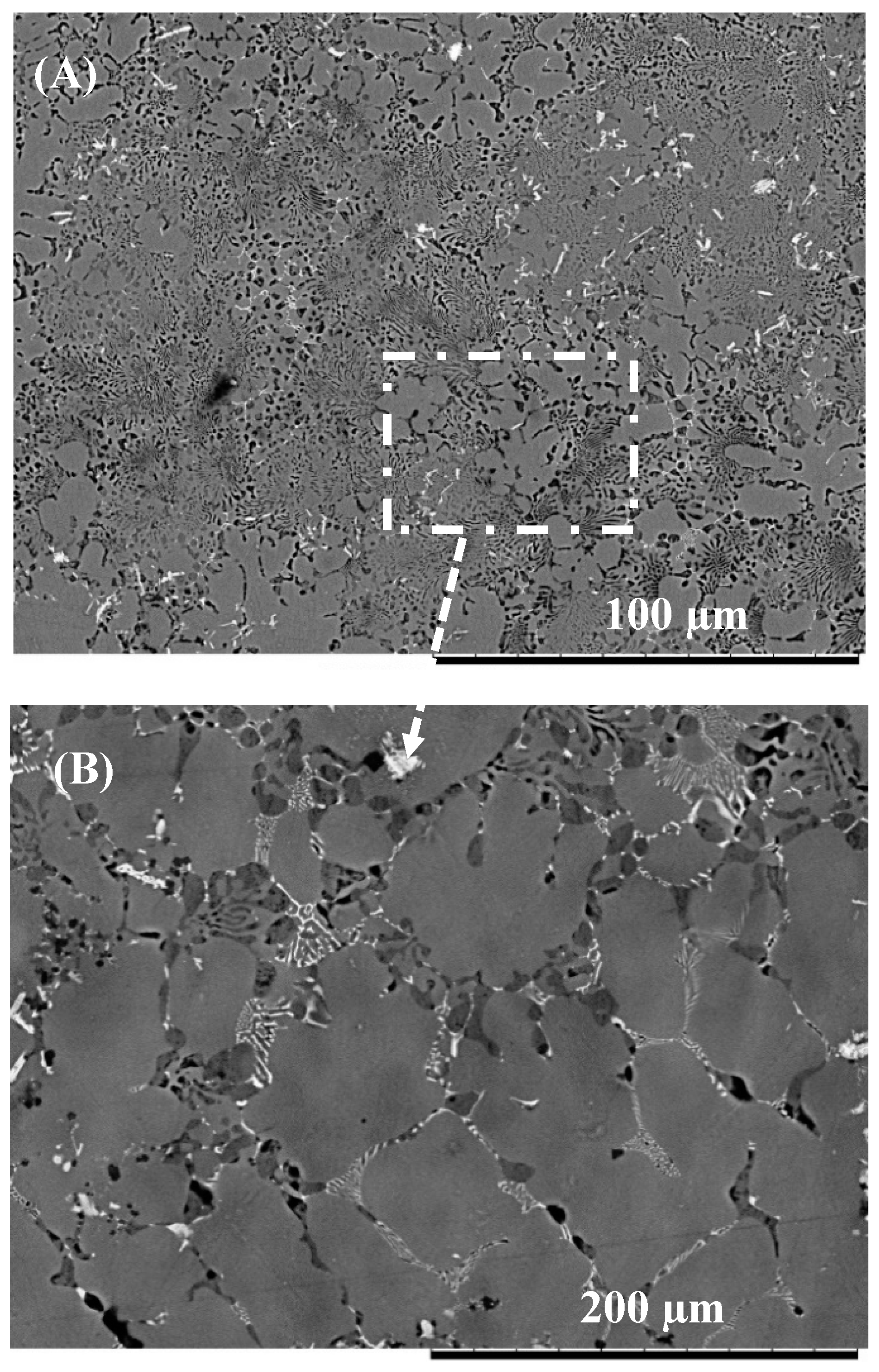 Nanomaterials 09 00370 g005