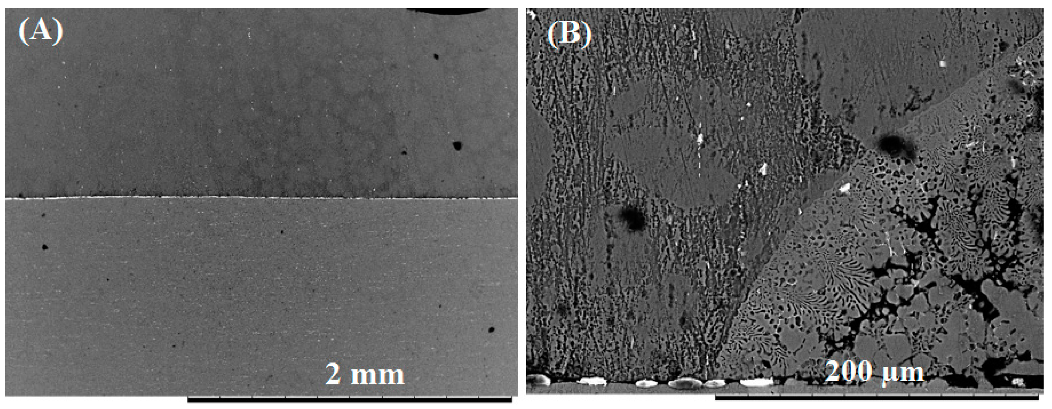 Nanomaterials 09 00370 g008