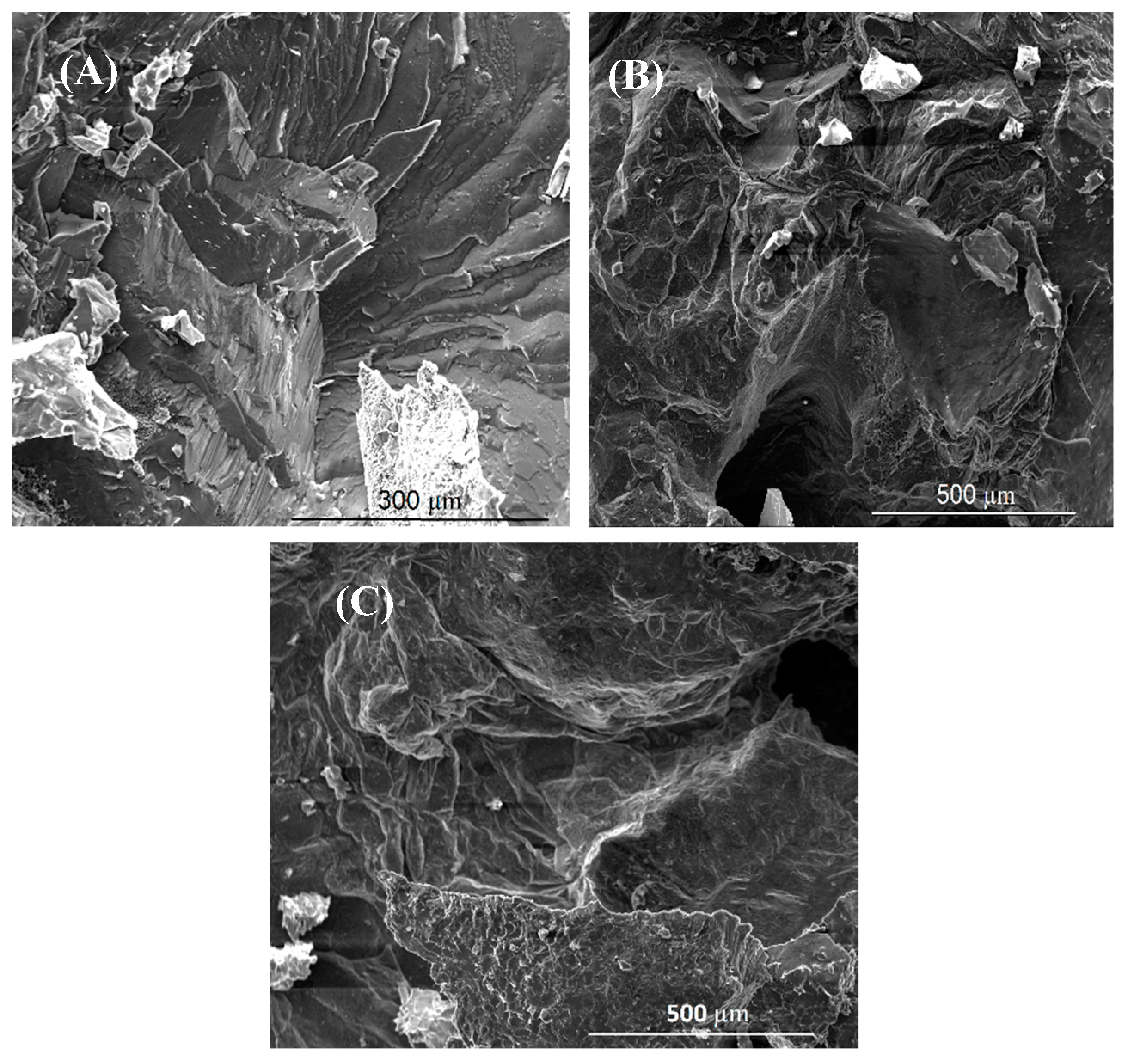 Nanomaterials 09 00370 g015