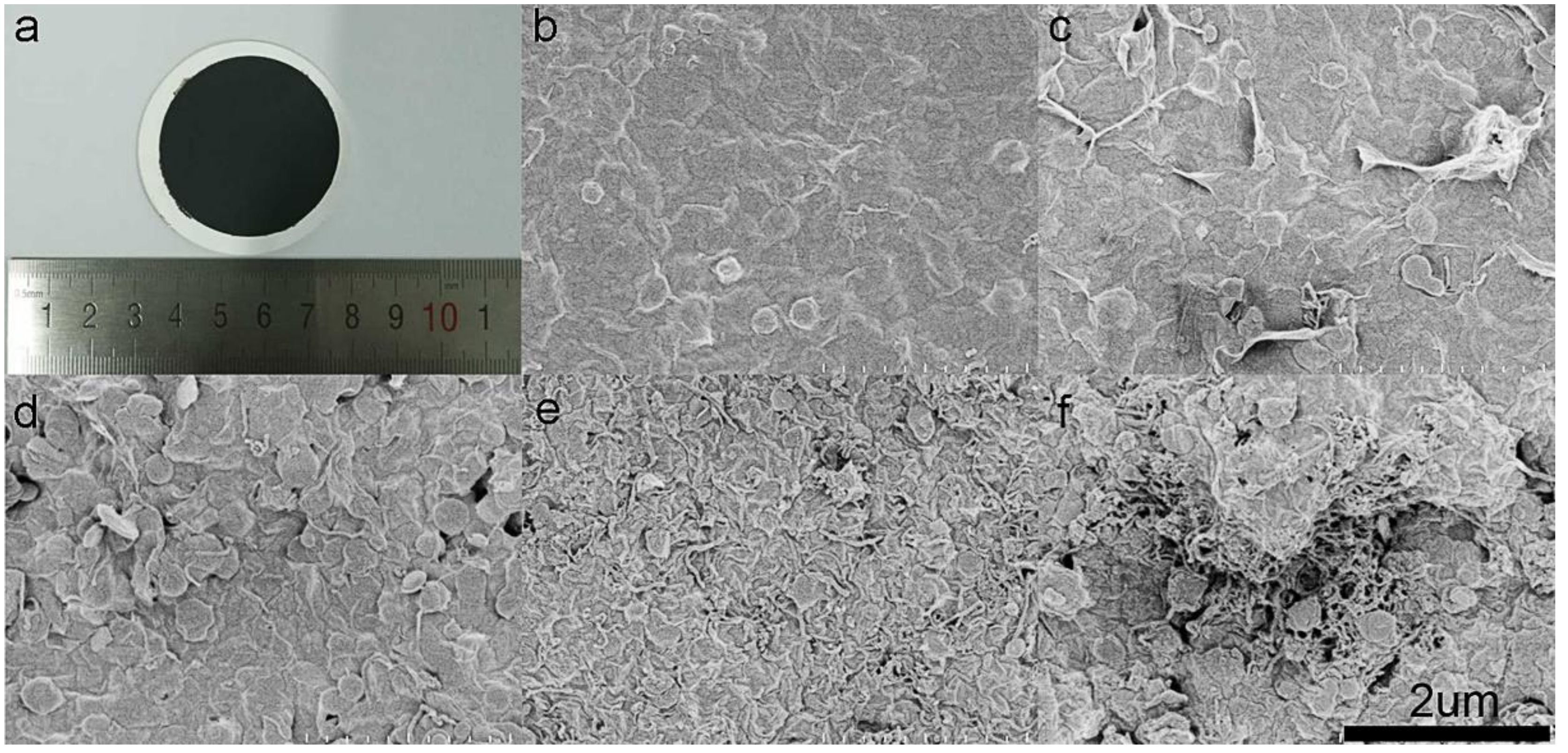 Nanomaterials 09 00386 g003 Nanomaterials 09 00386 g003