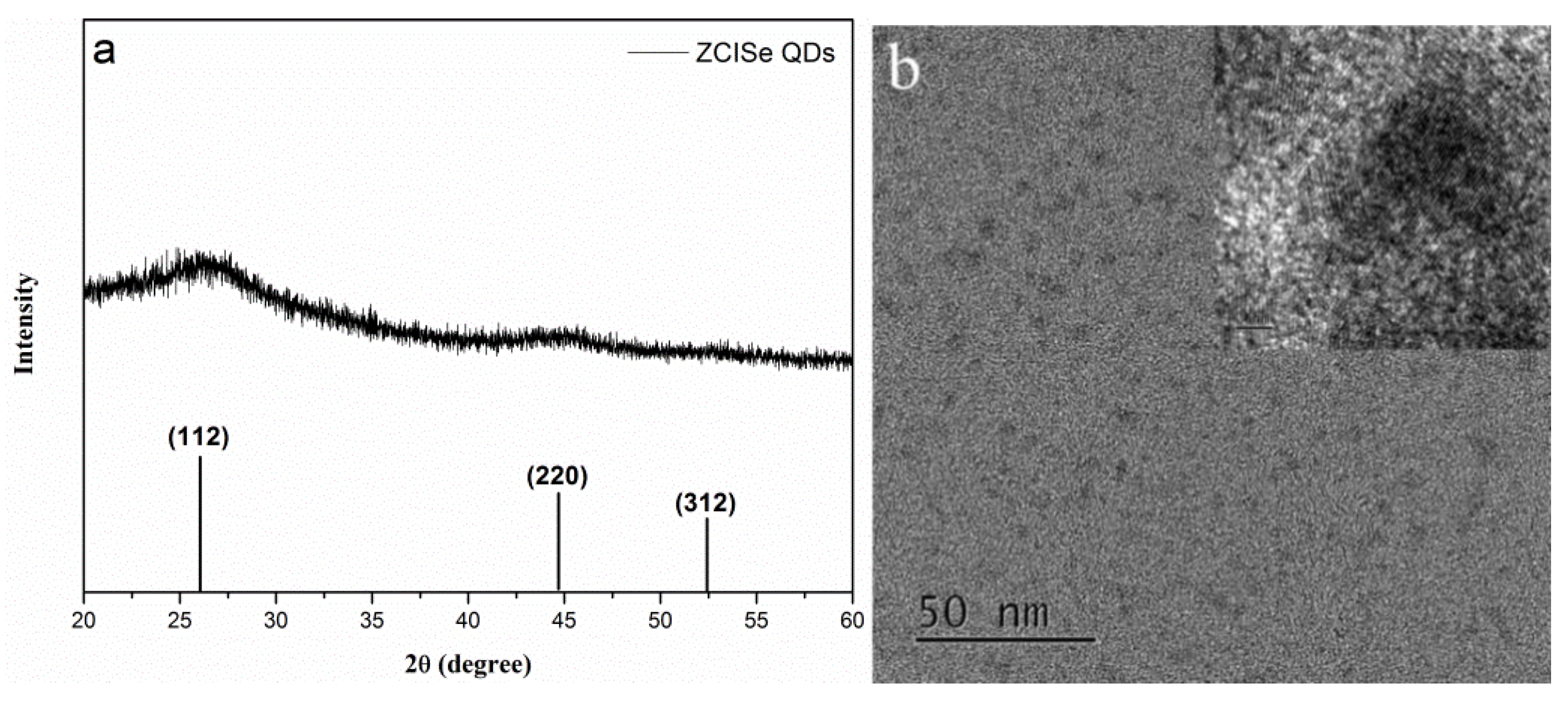 Nanomaterials 09 00393 g002 550