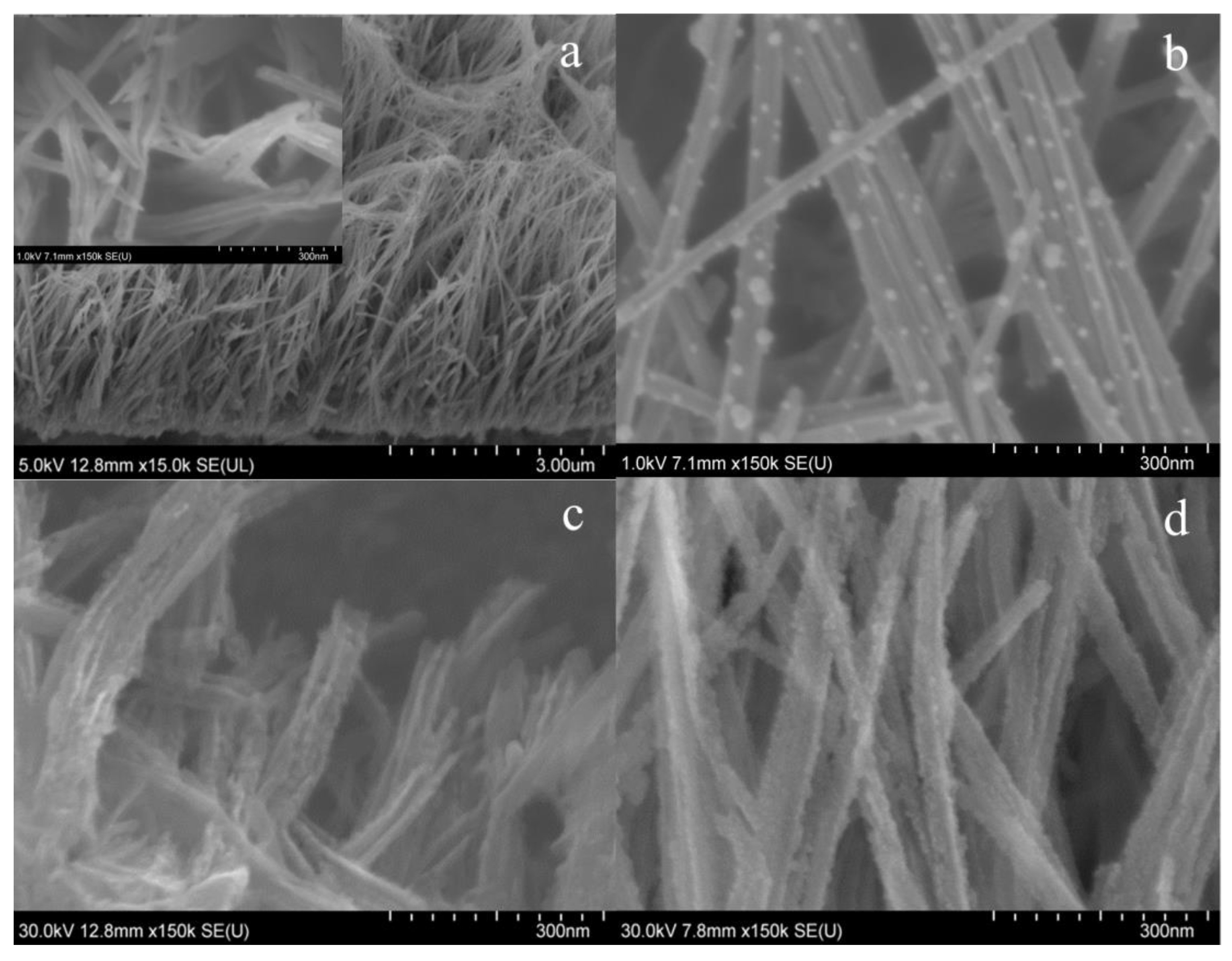 Nanomaterials 09 00393 g003 550
