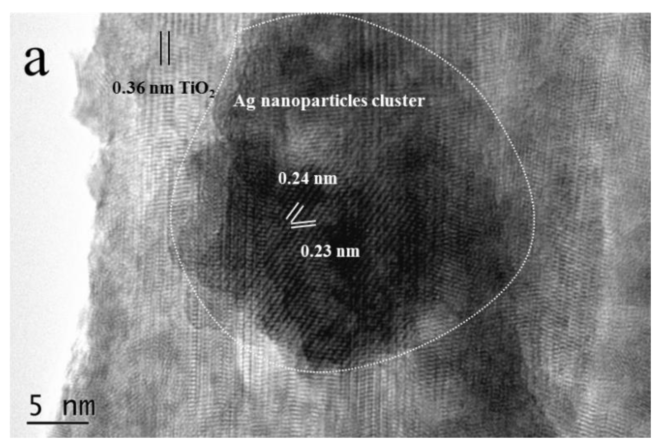 Nanomaterials 09 00393 g004a 550