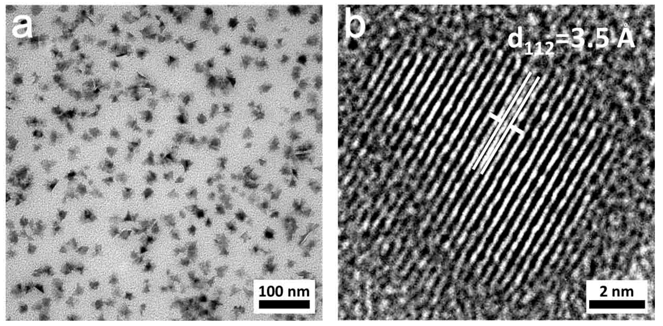 Nanomaterials 09 00409 g002 550