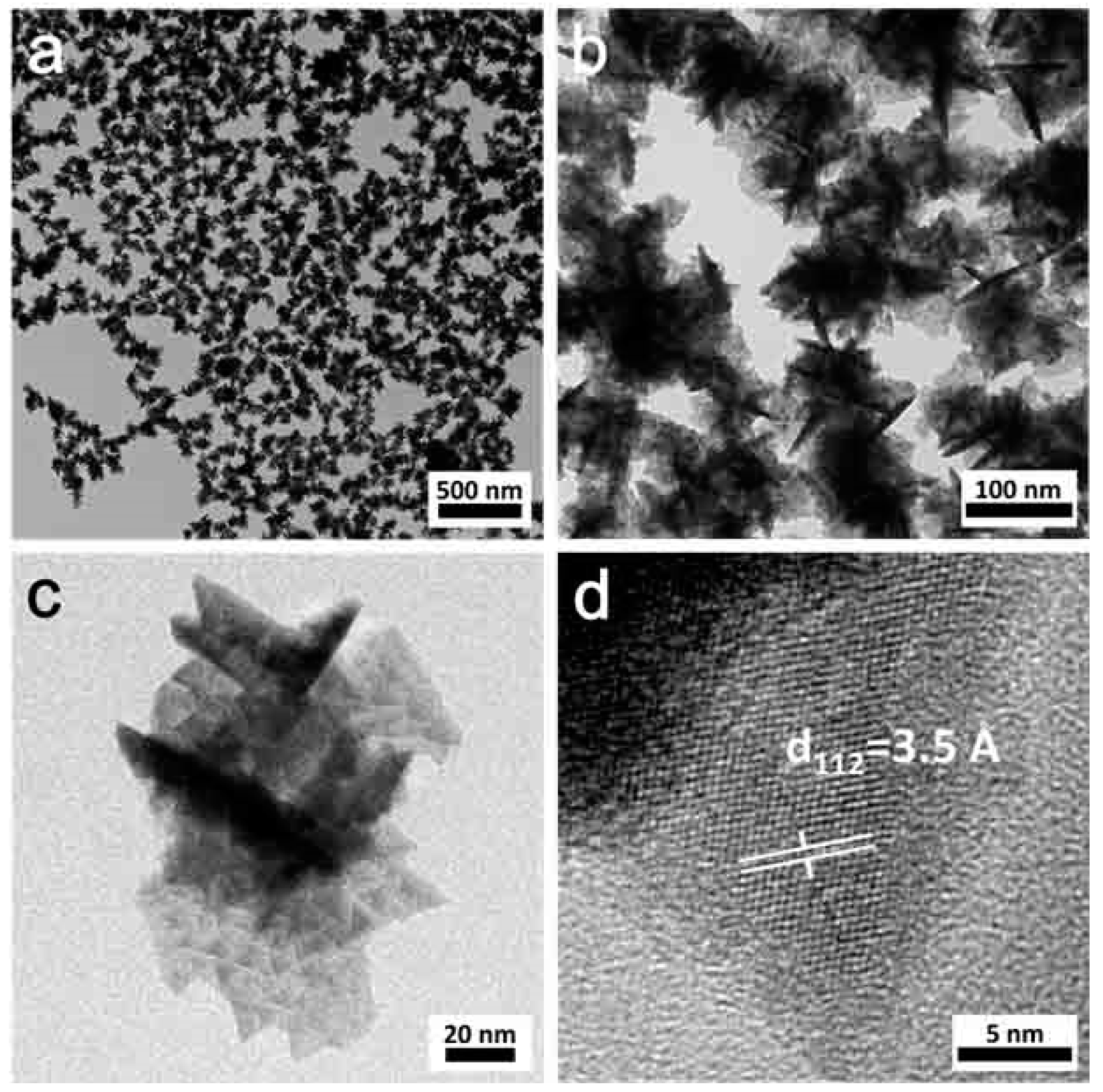 Nanomaterials 09 00409 g004 550