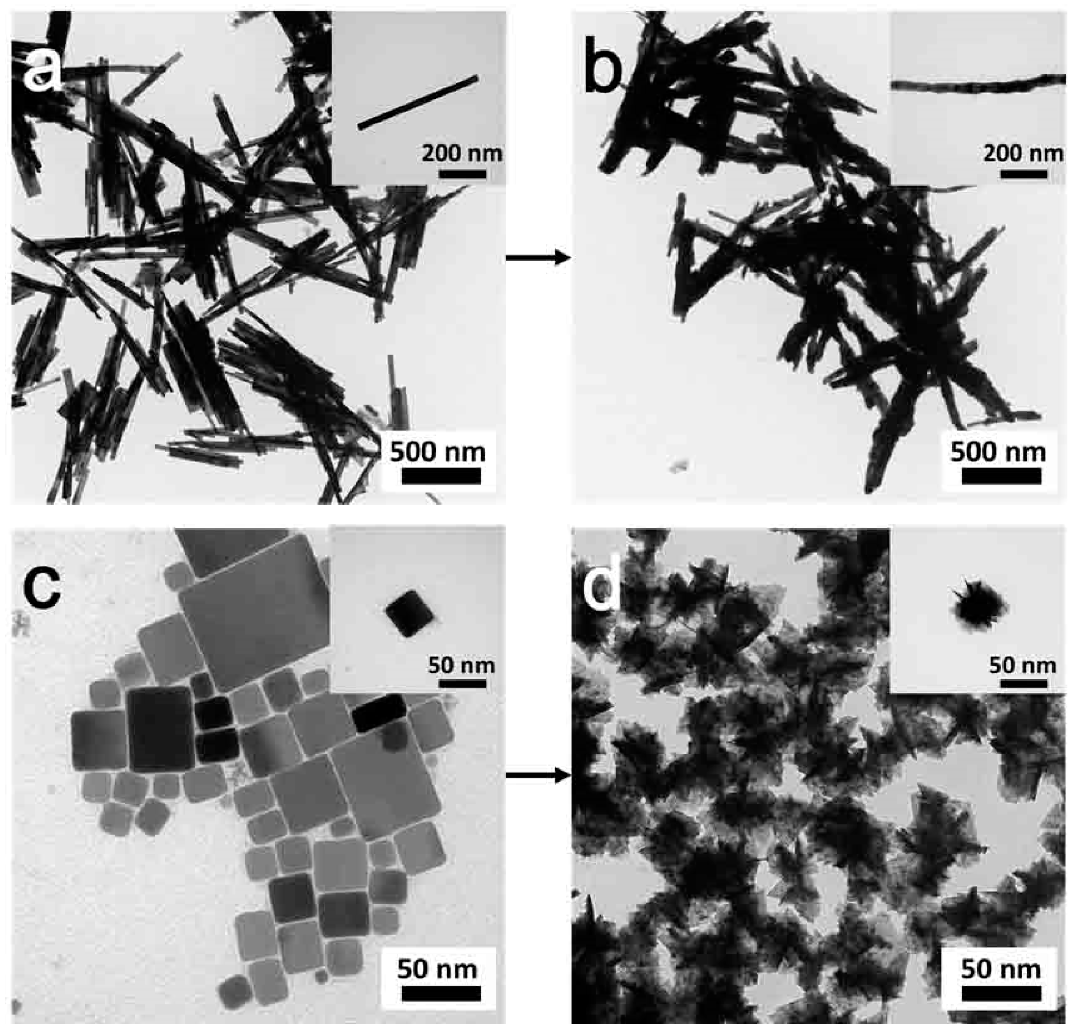 Nanomaterials 09 00409 g009 550