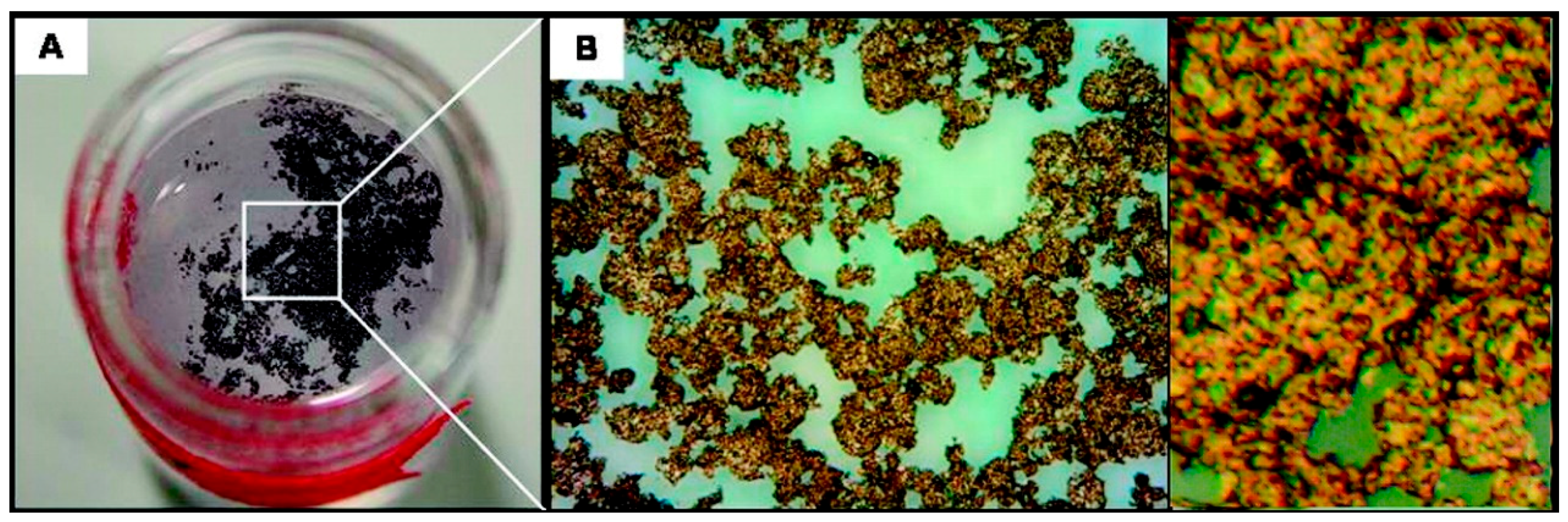 Nanomaterials 09 00424 g005
