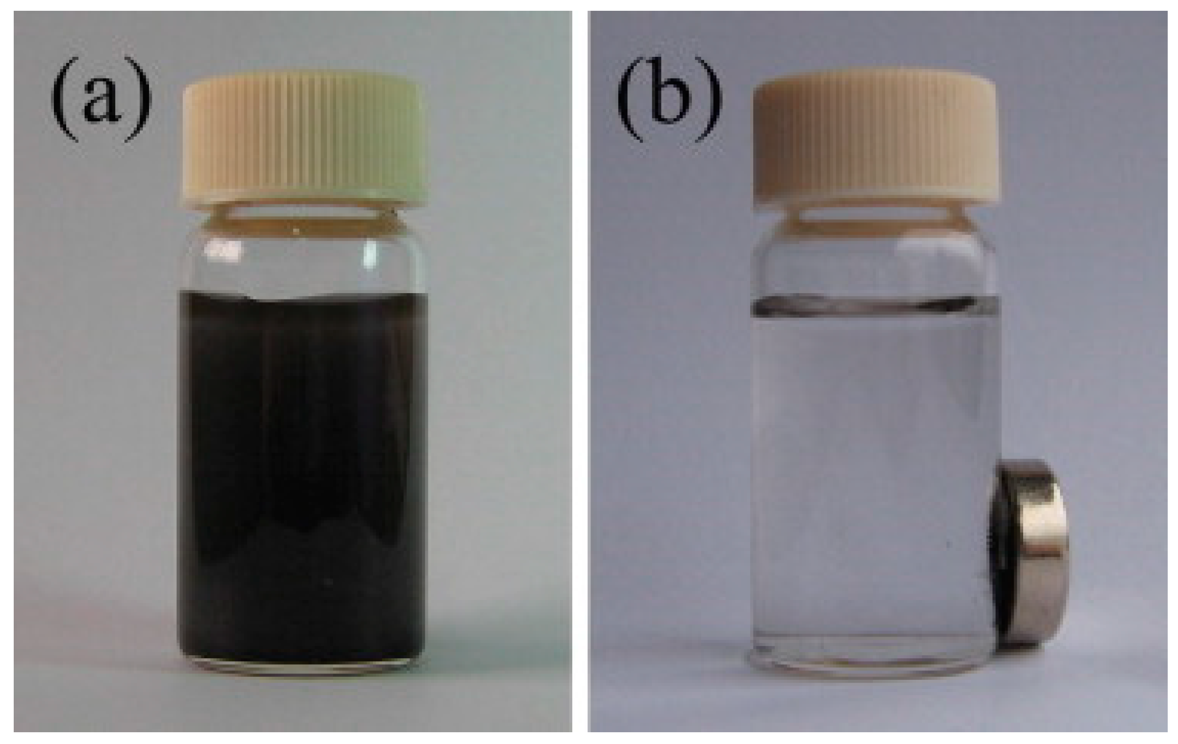 Nanomaterials 09 00424 g006
