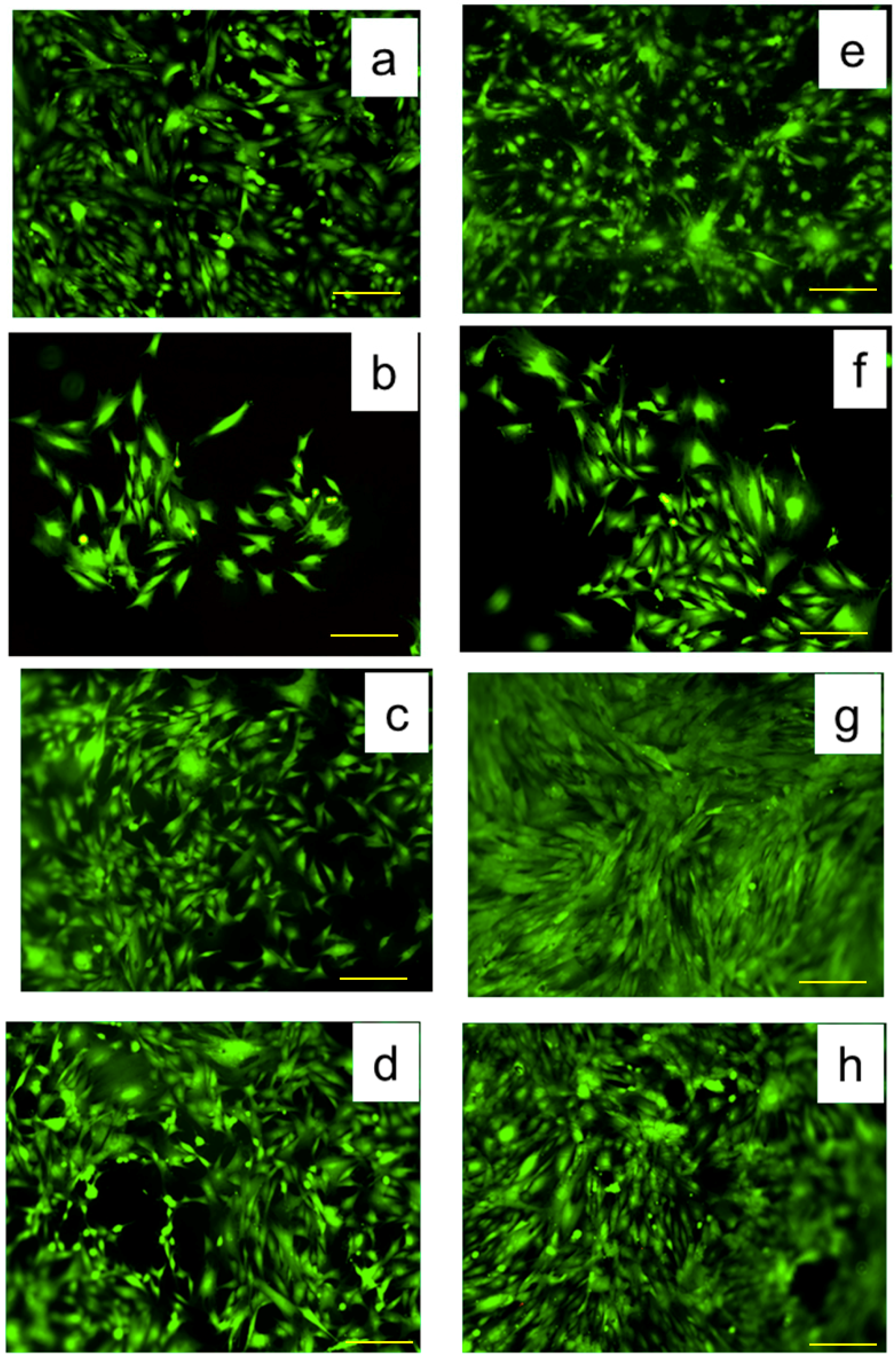 Nanomaterials 09 00428 g008 Nanomaterials 09 00428 g008