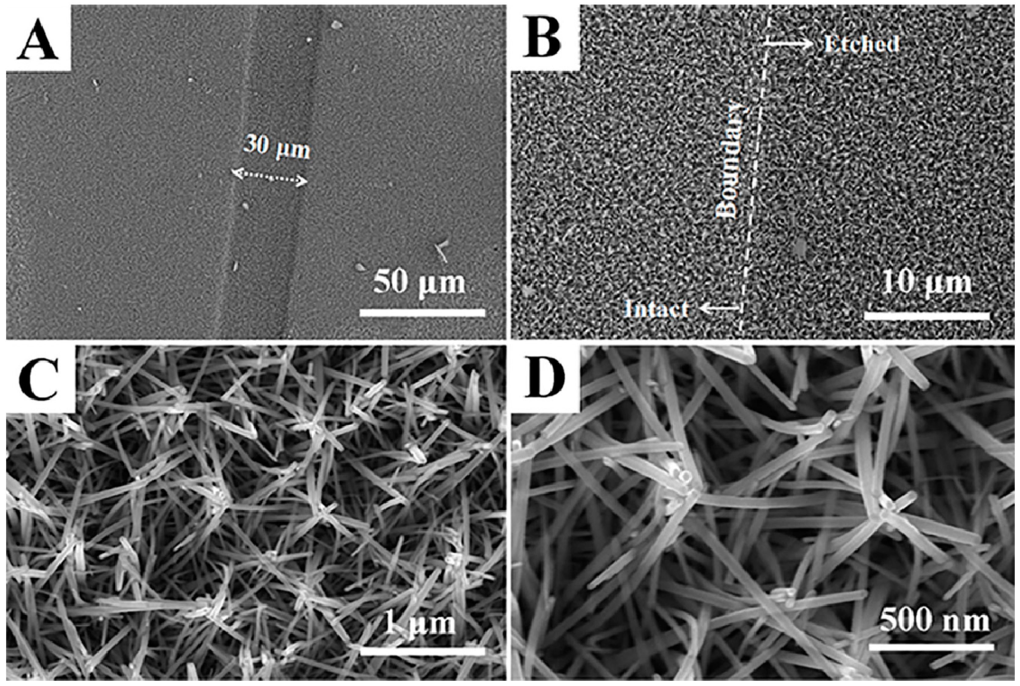 Nanomaterials 09 00435 g002