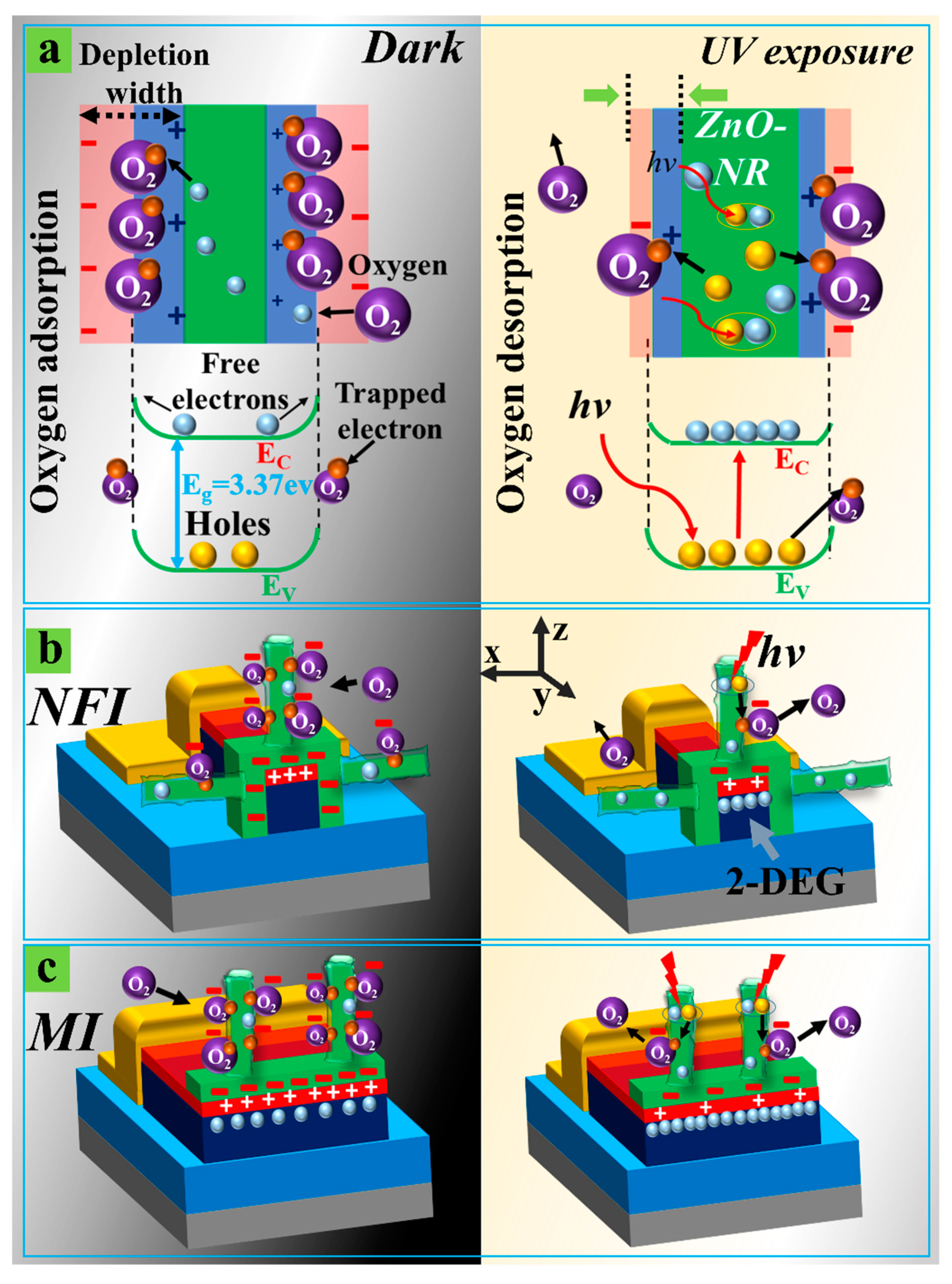 Nanomaterials 09 00440 g004