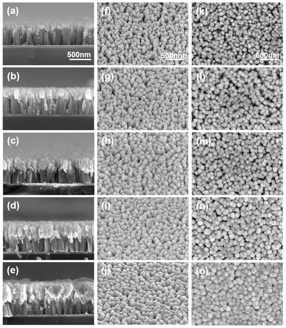 Nanomaterials 09 00447 g002