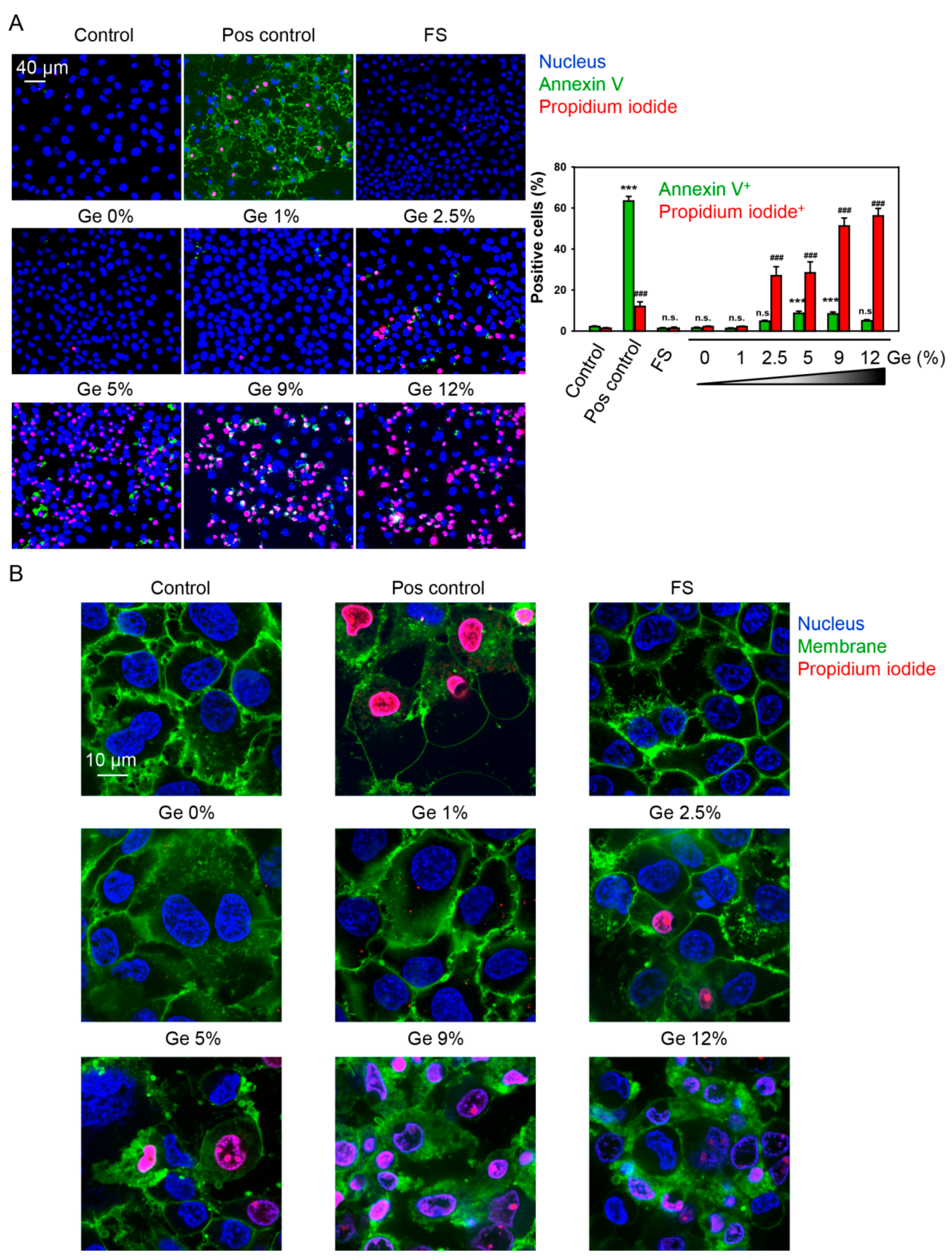 Nanomaterials 09 00451 g005 Nanomaterials 09 00451 g005