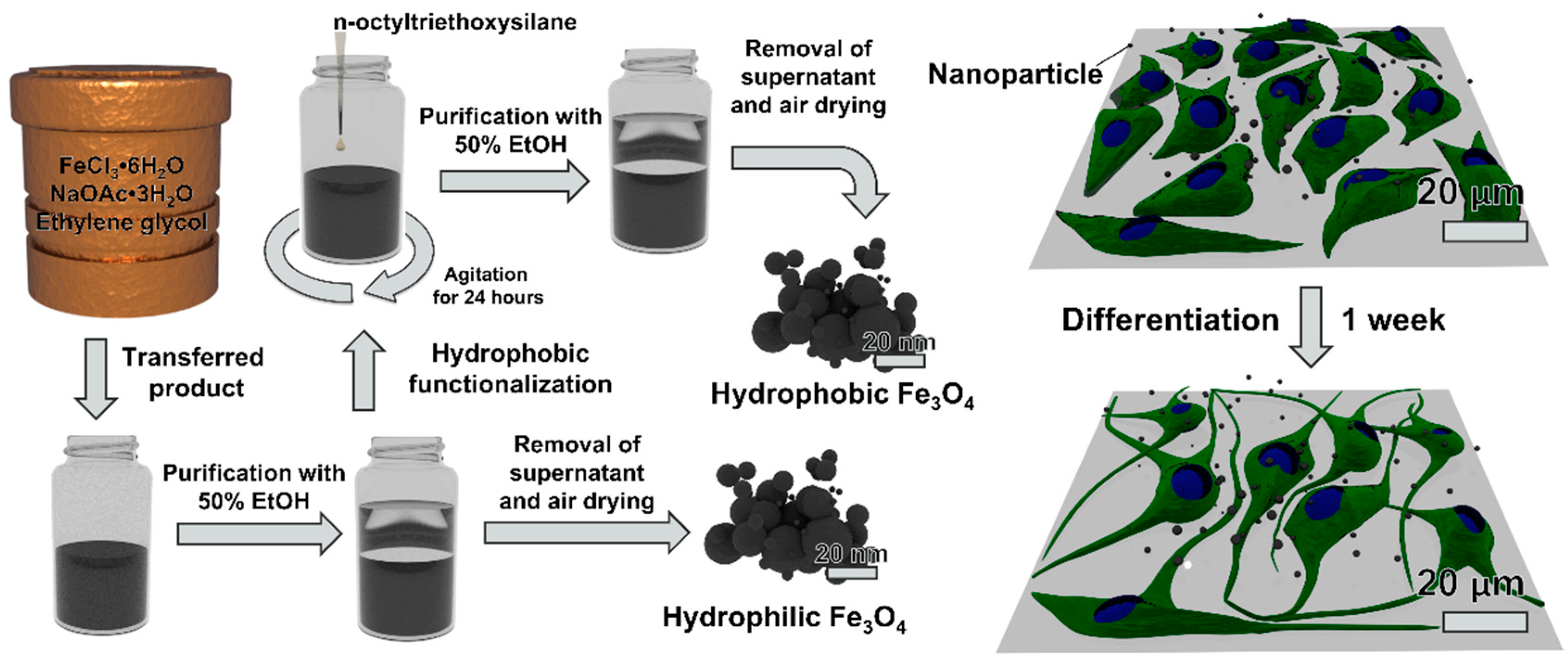 Nanomaterials 09 00453 g001