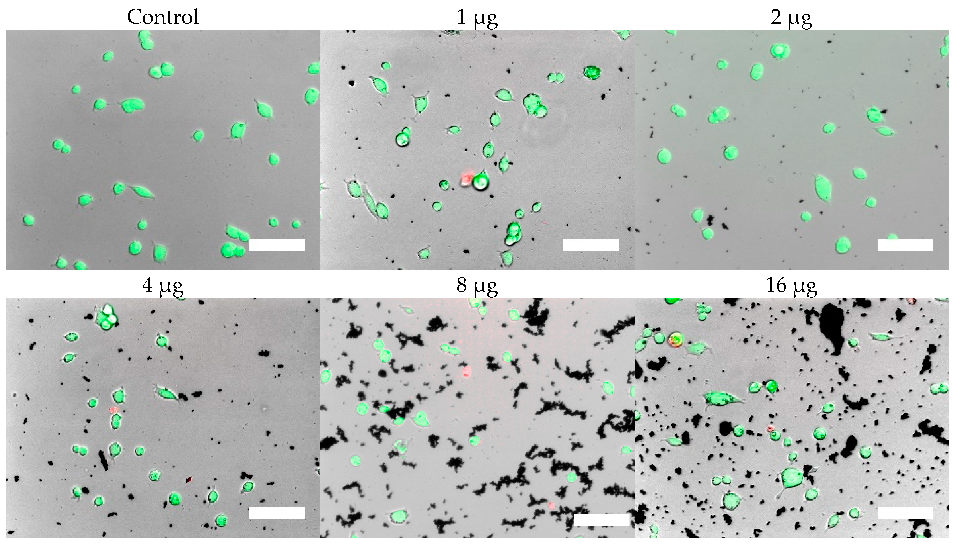 Nanomaterials 09 00453 g007