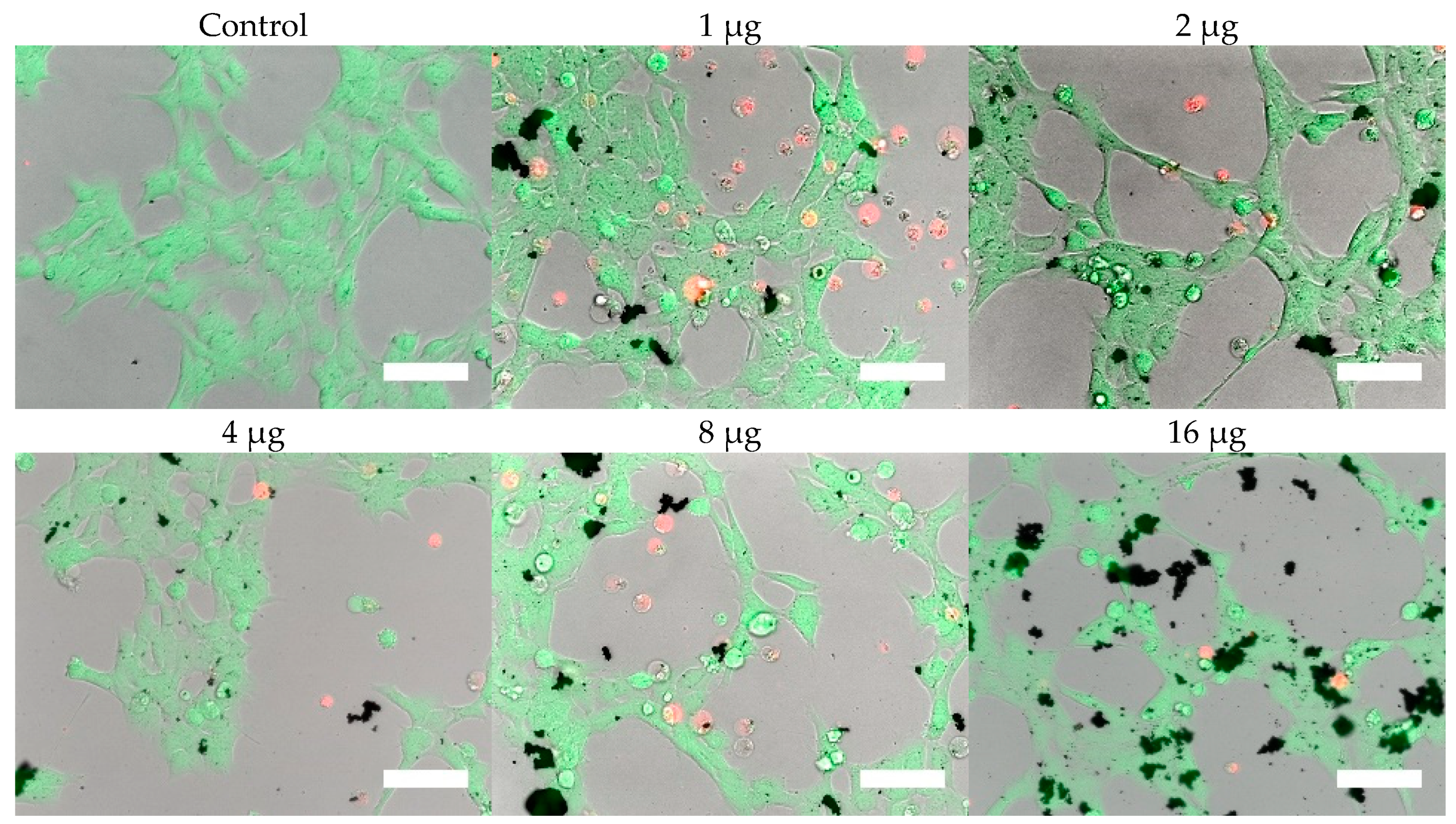Nanomaterials 09 00453 g009