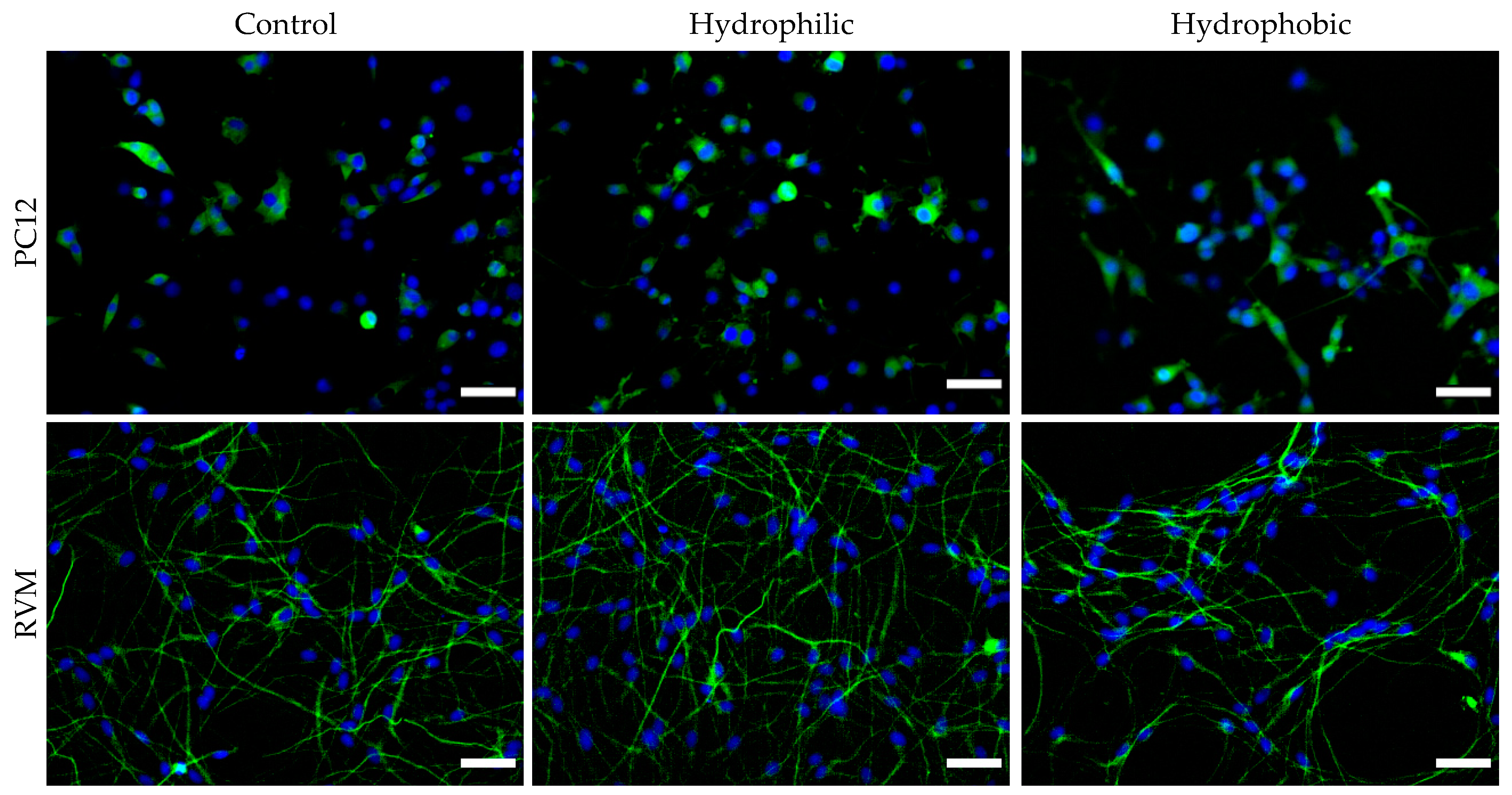 Nanomaterials 09 00453 g010