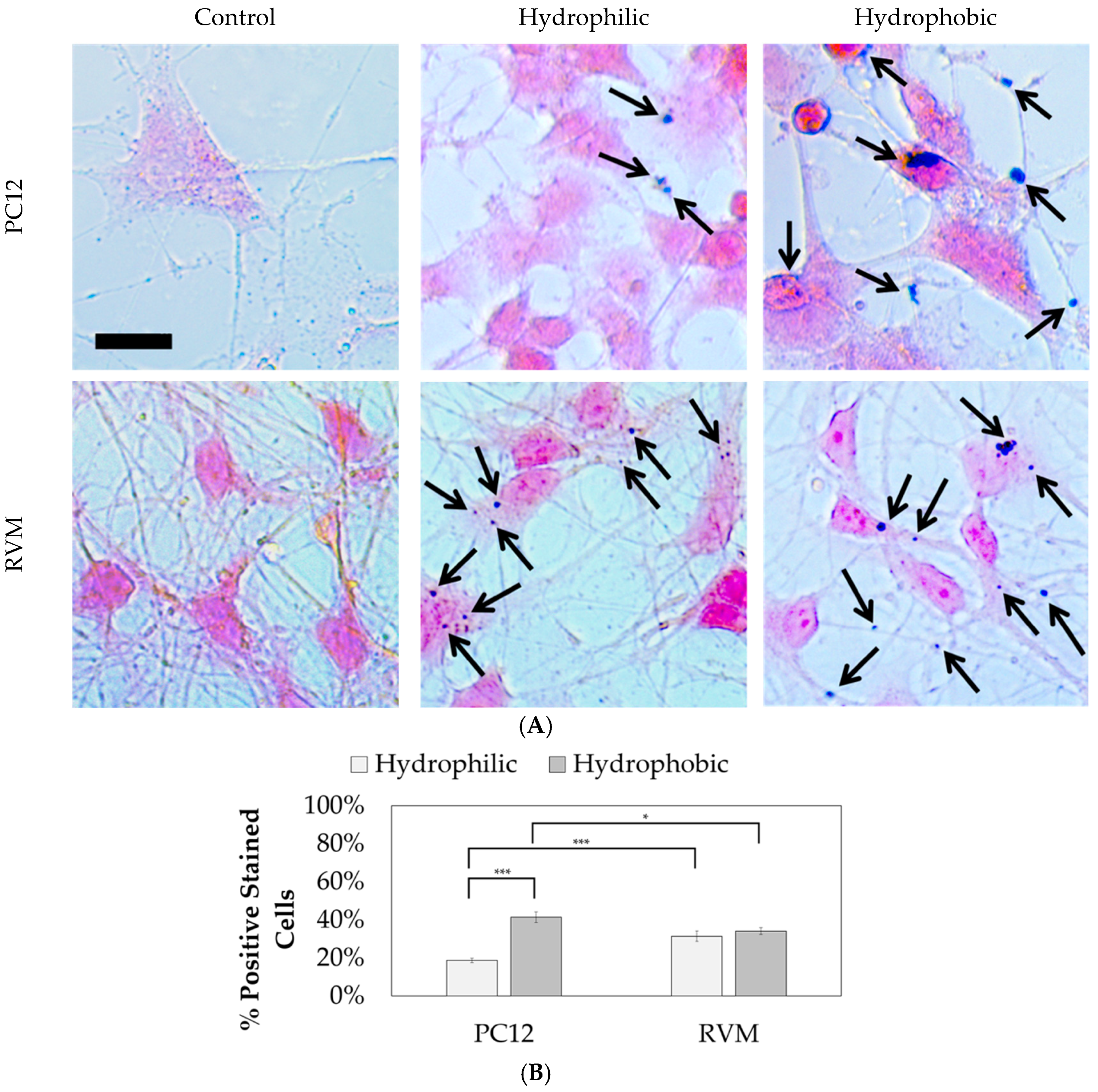 Nanomaterials 09 00453 g011