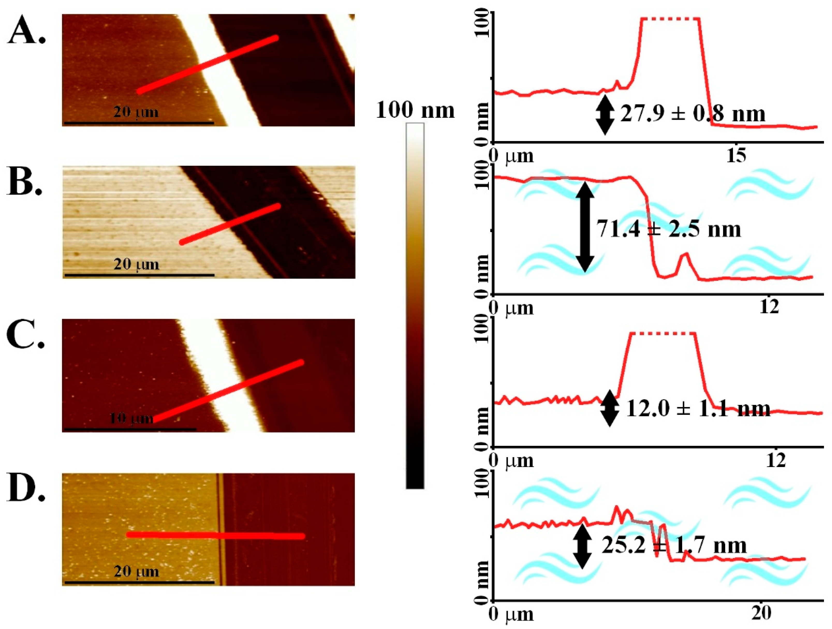 Nanomaterials 09 00456 g001