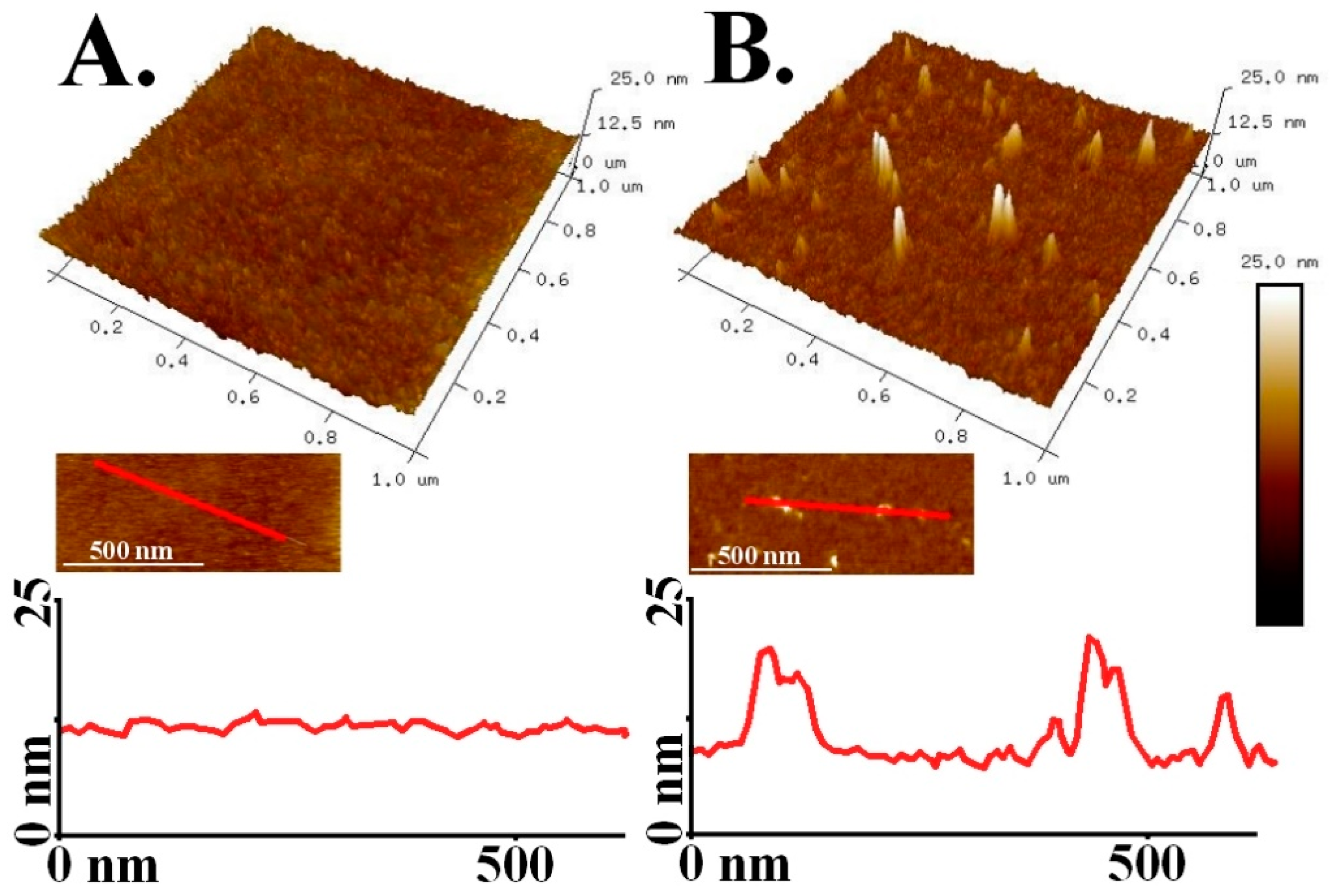Nanomaterials 09 00456 g002