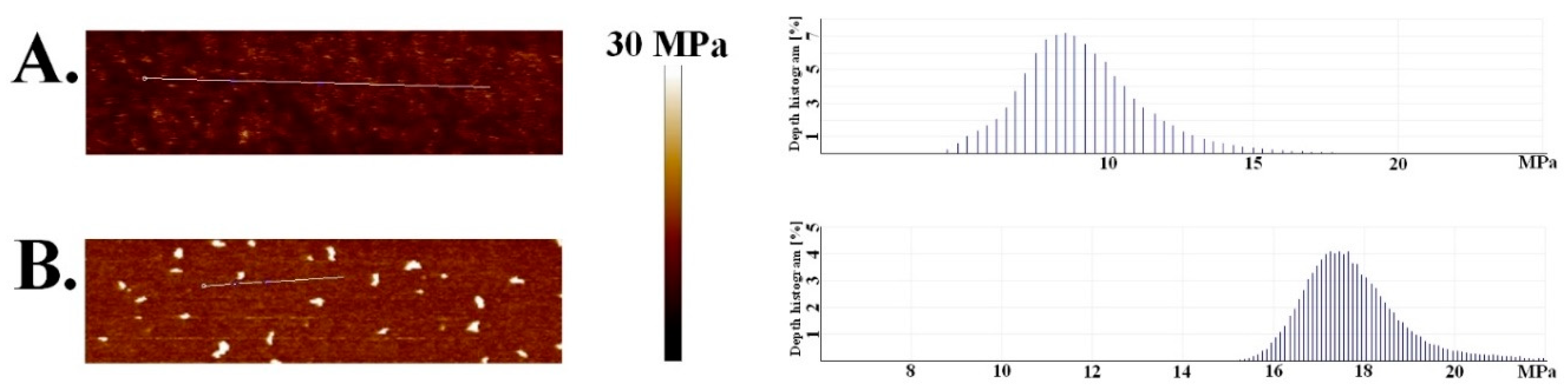 Nanomaterials 09 00456 g003