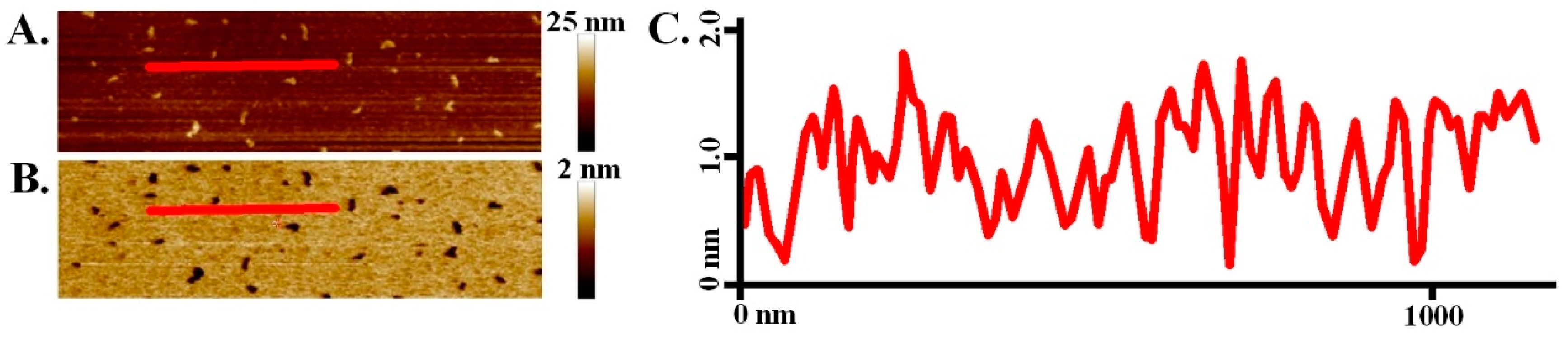 Nanomaterials 09 00456 g004