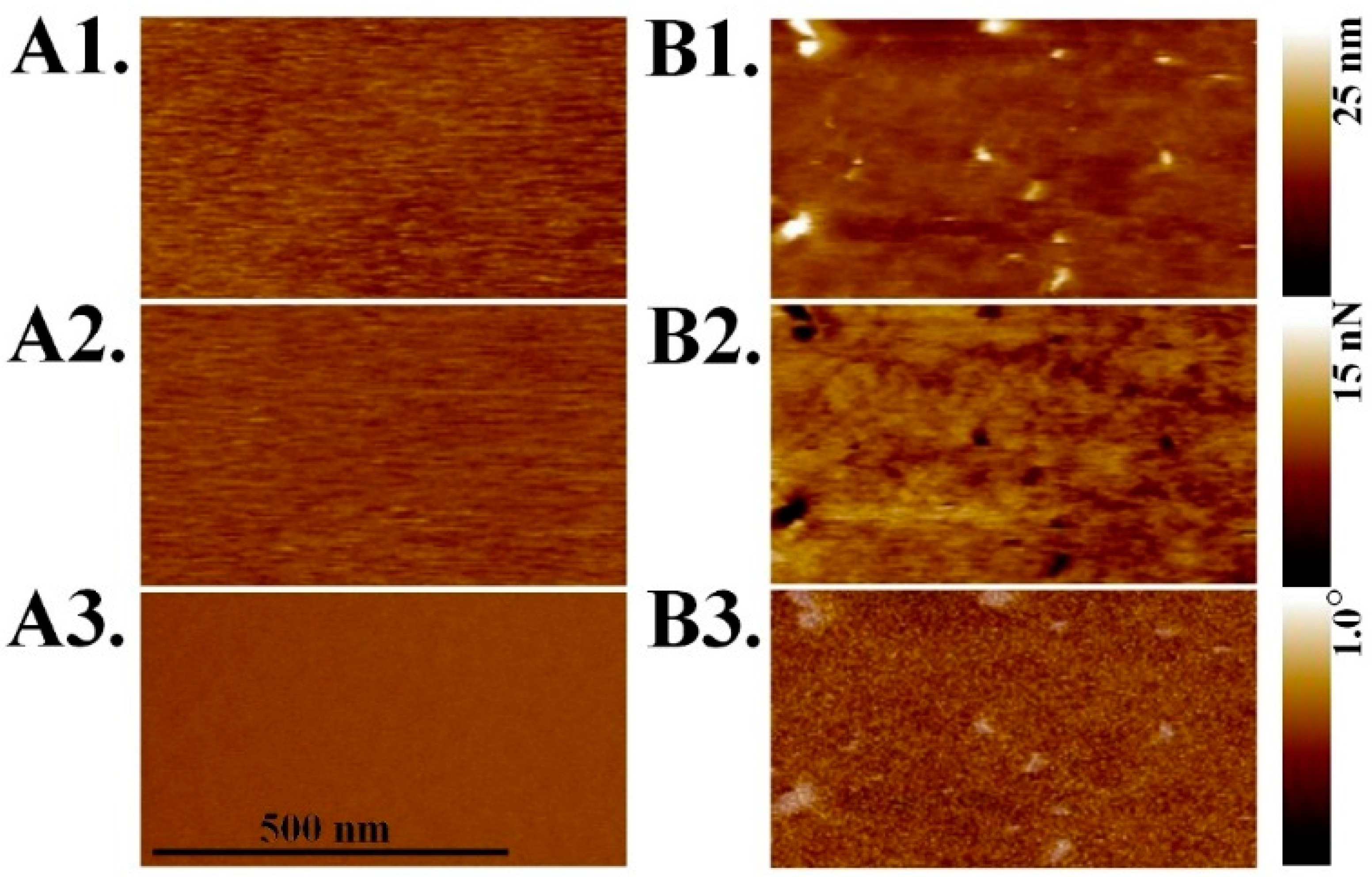 Nanomaterials 09 00456 g007