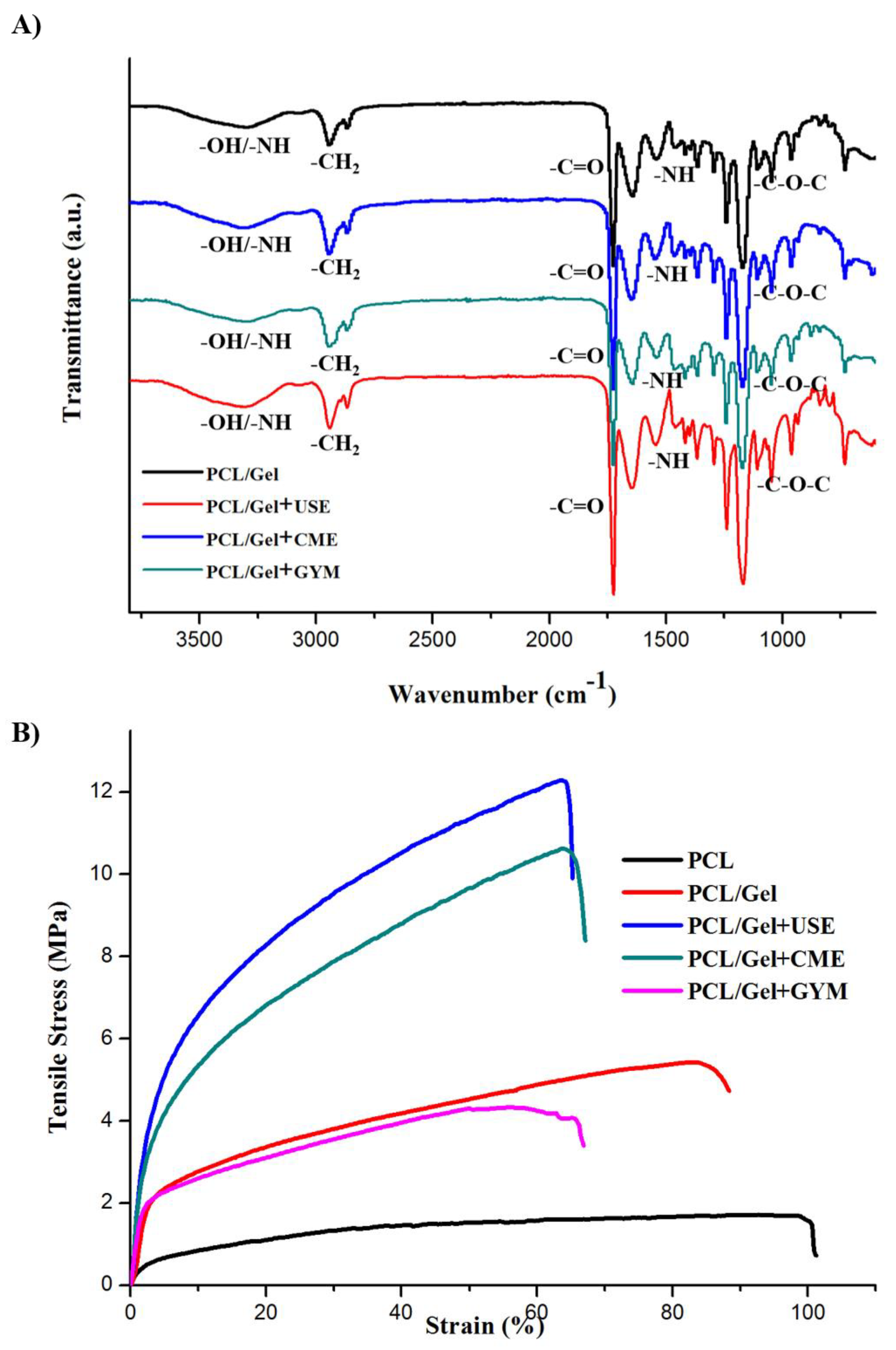 Nanomaterials 09 00462 g002
