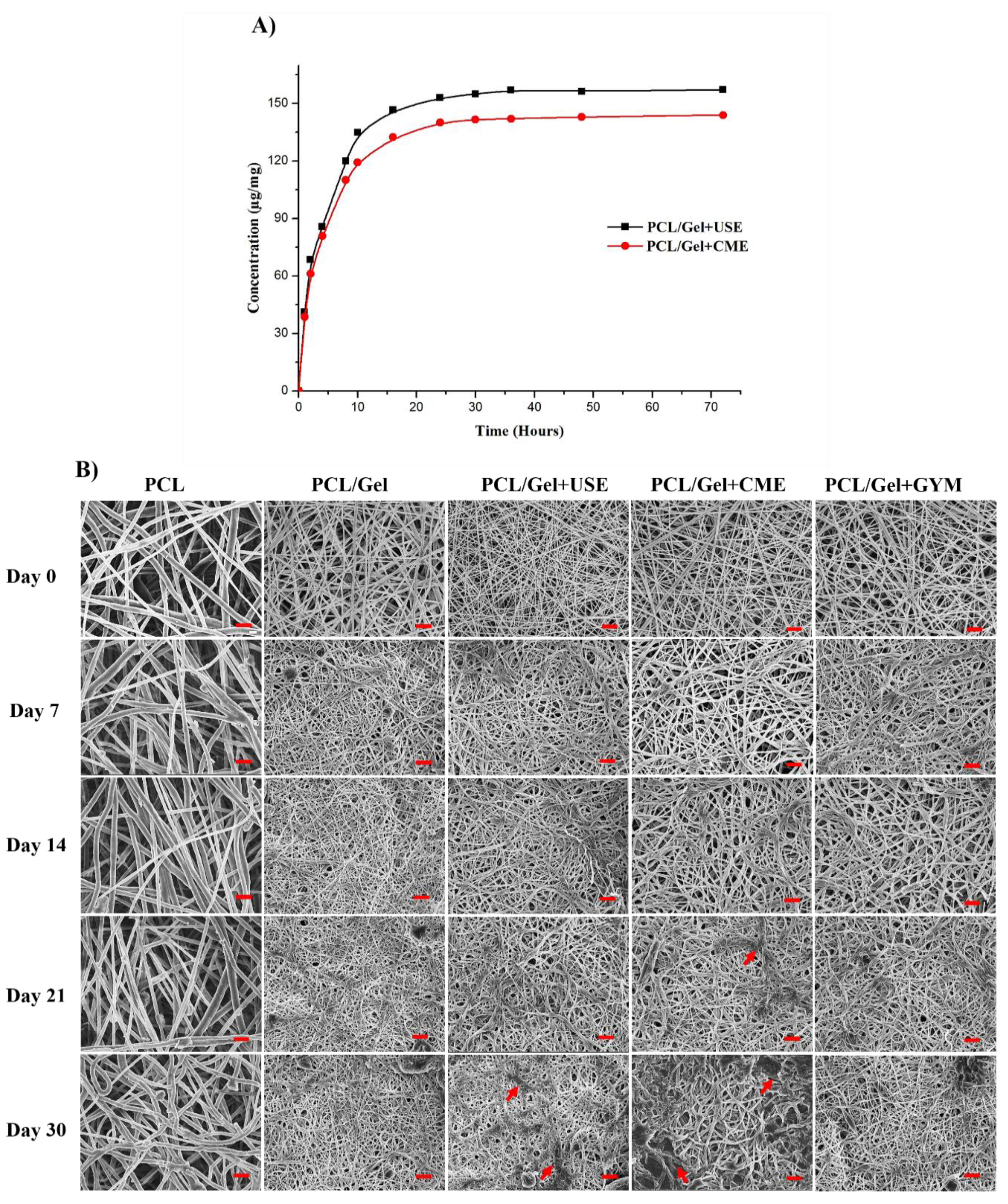 Nanomaterials 09 00462 g004