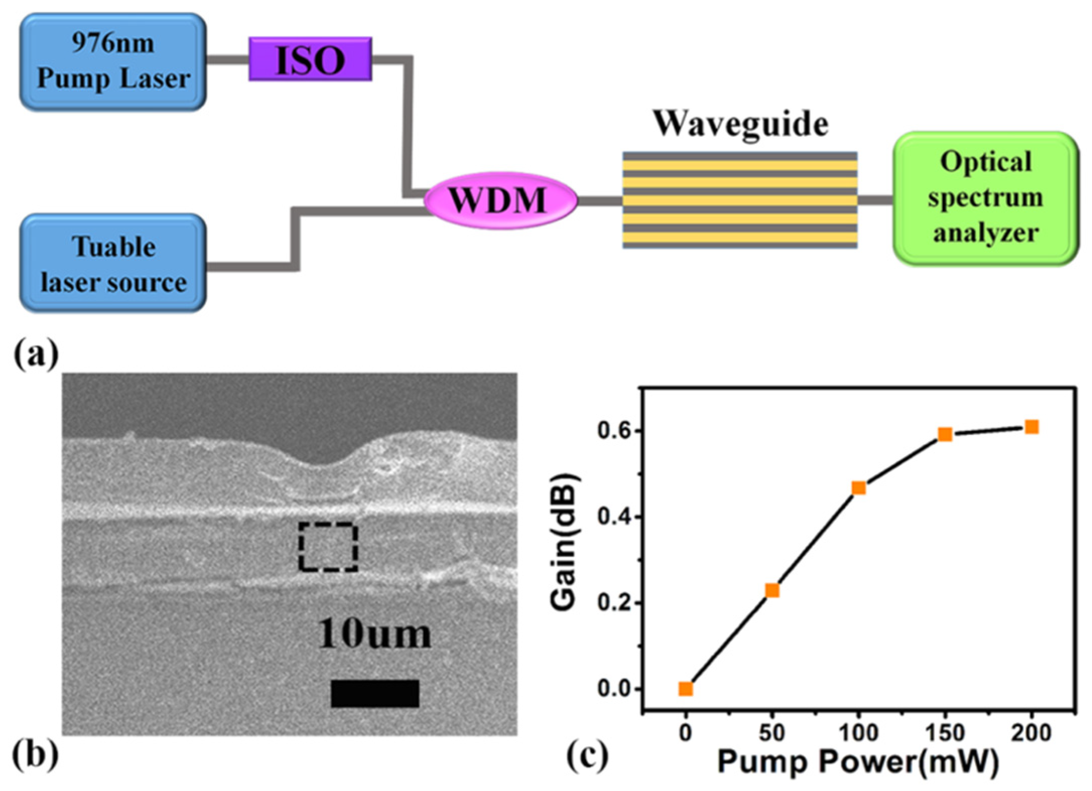 Nanomaterials 09 00463 g008