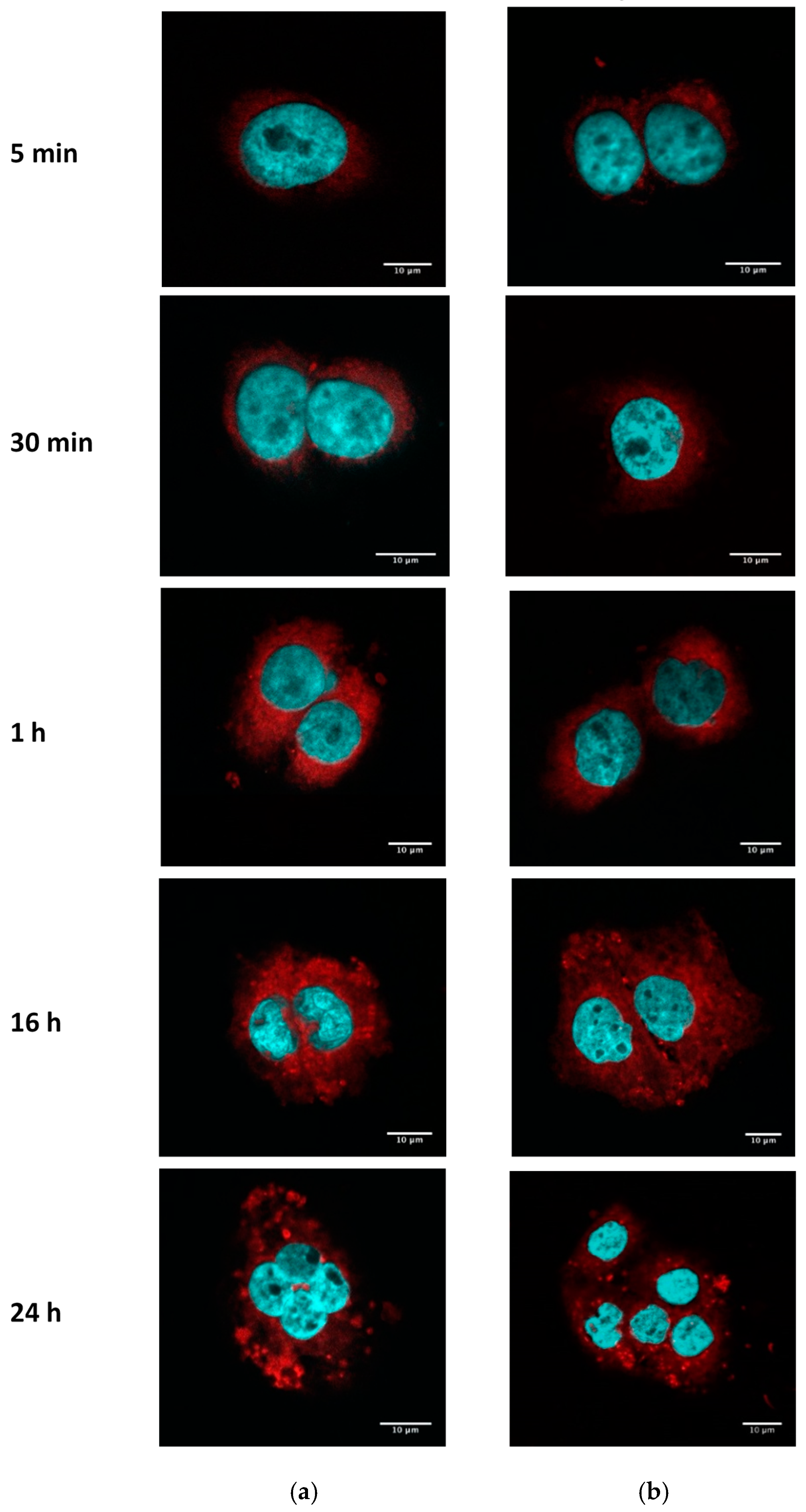 Nanomaterials 09 00464 g005
