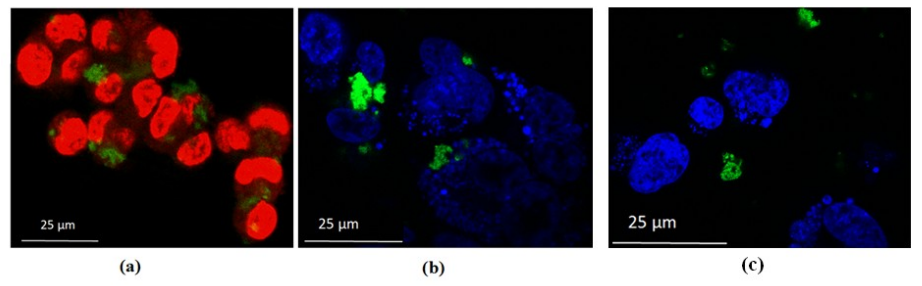 Nanomaterials 09 00465 g009