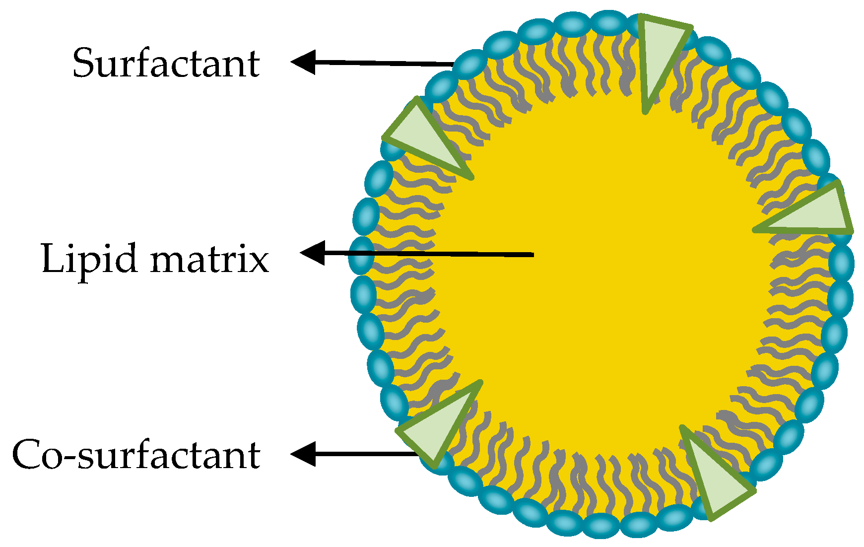 Lipid Nanoparticles