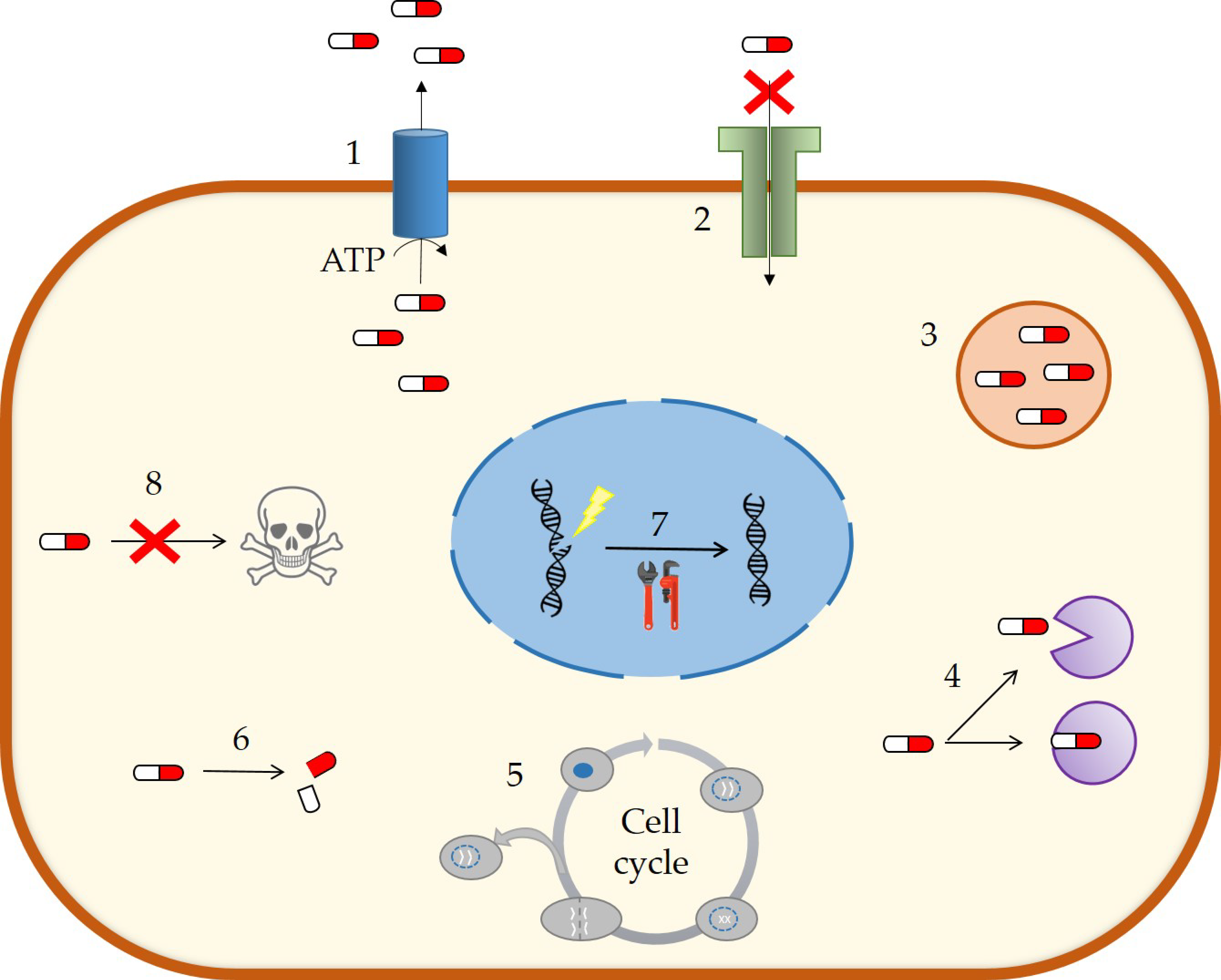 Nanomaterials 09 00474 g004
