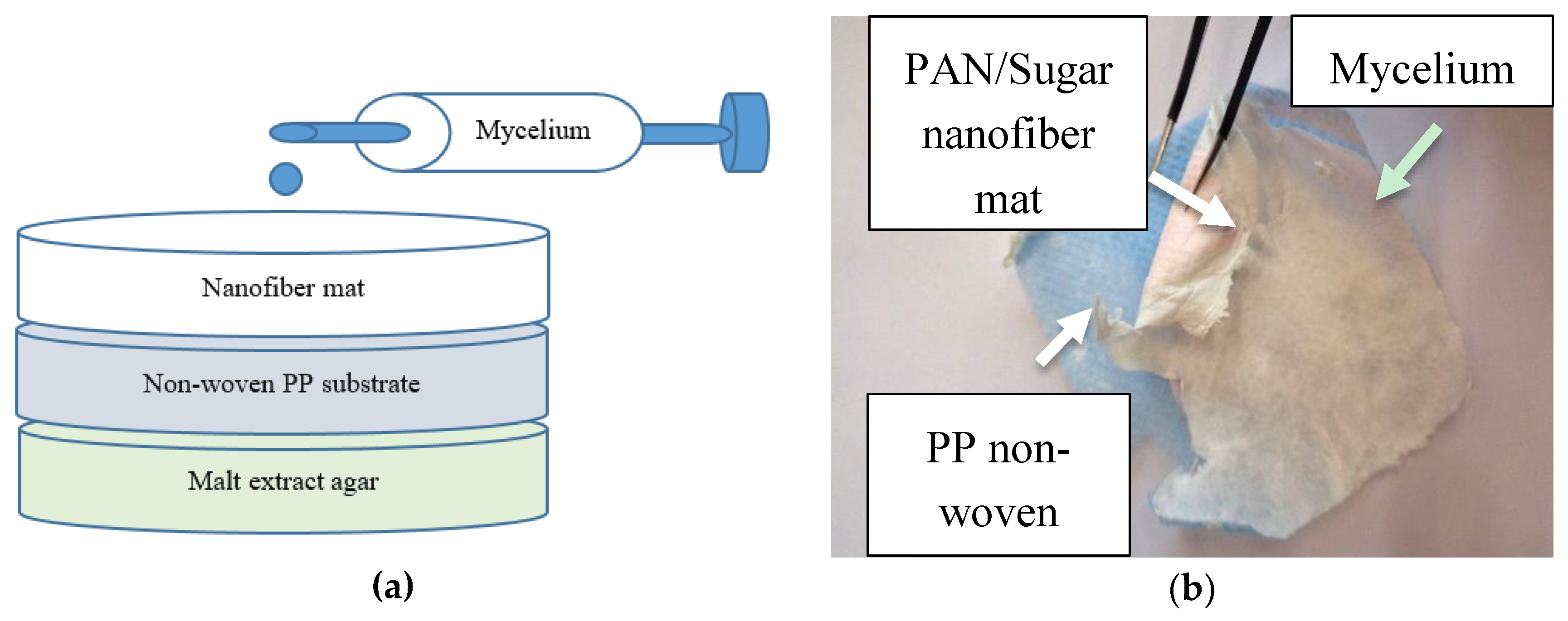 Nanomaterials 09 00475 g001