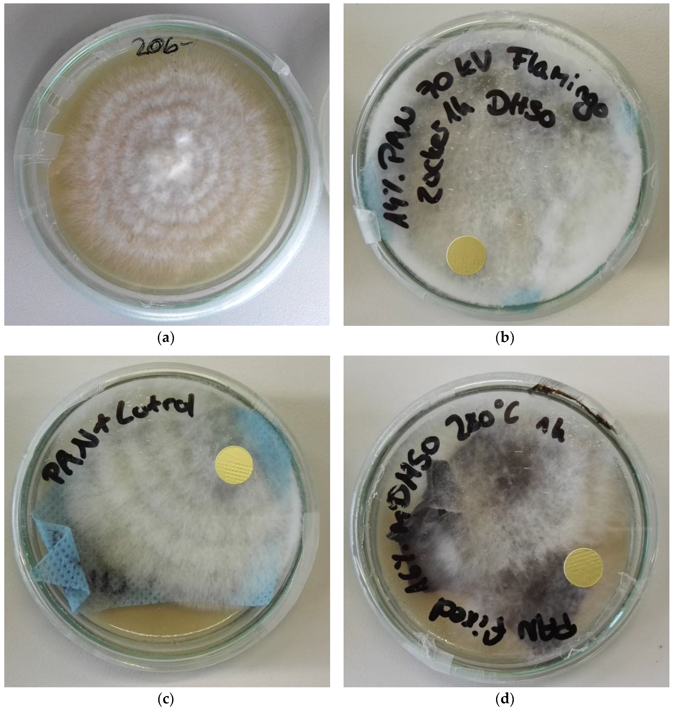 Nanomaterials 09 00475 g002