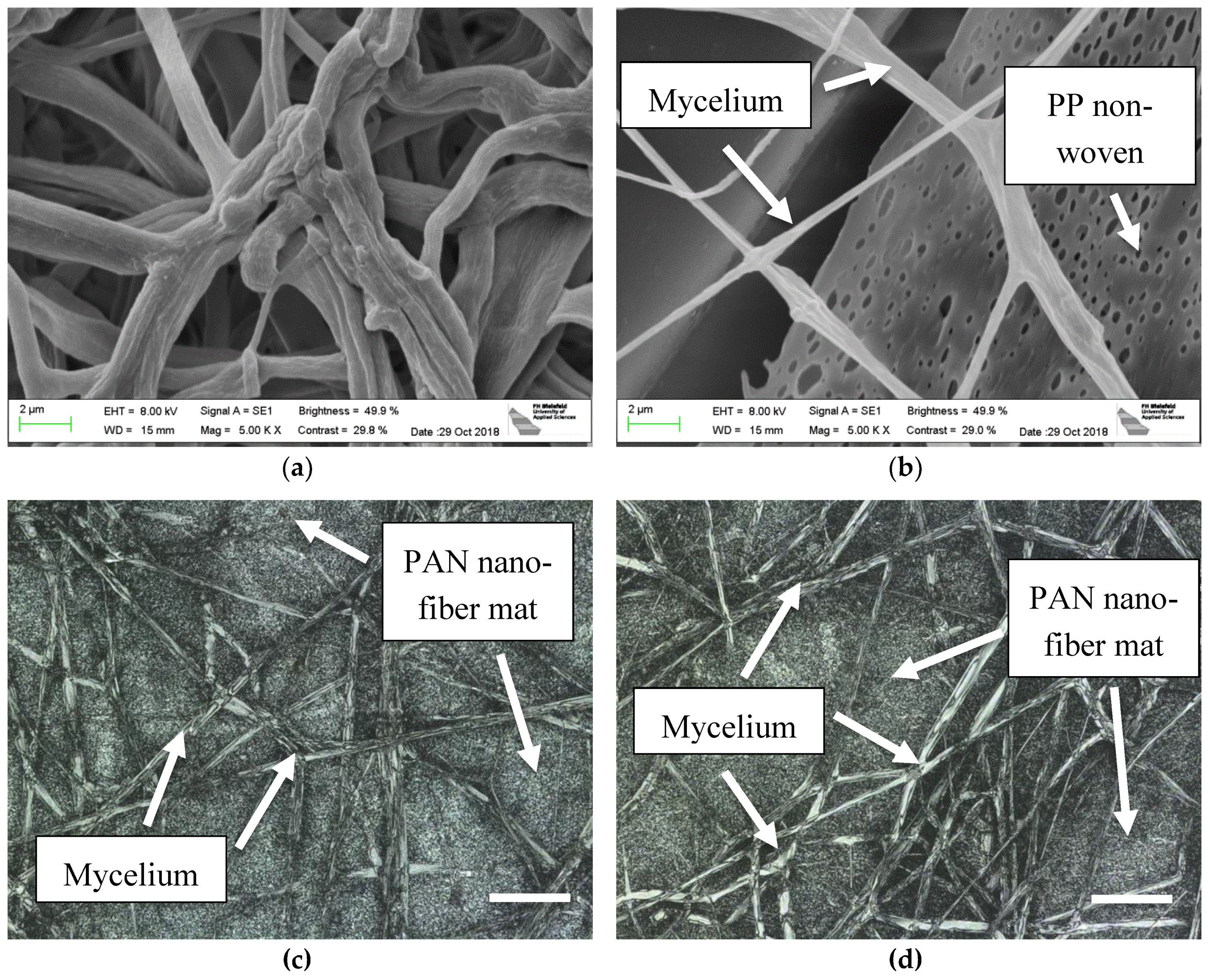 Nanomaterials 09 00475 g003