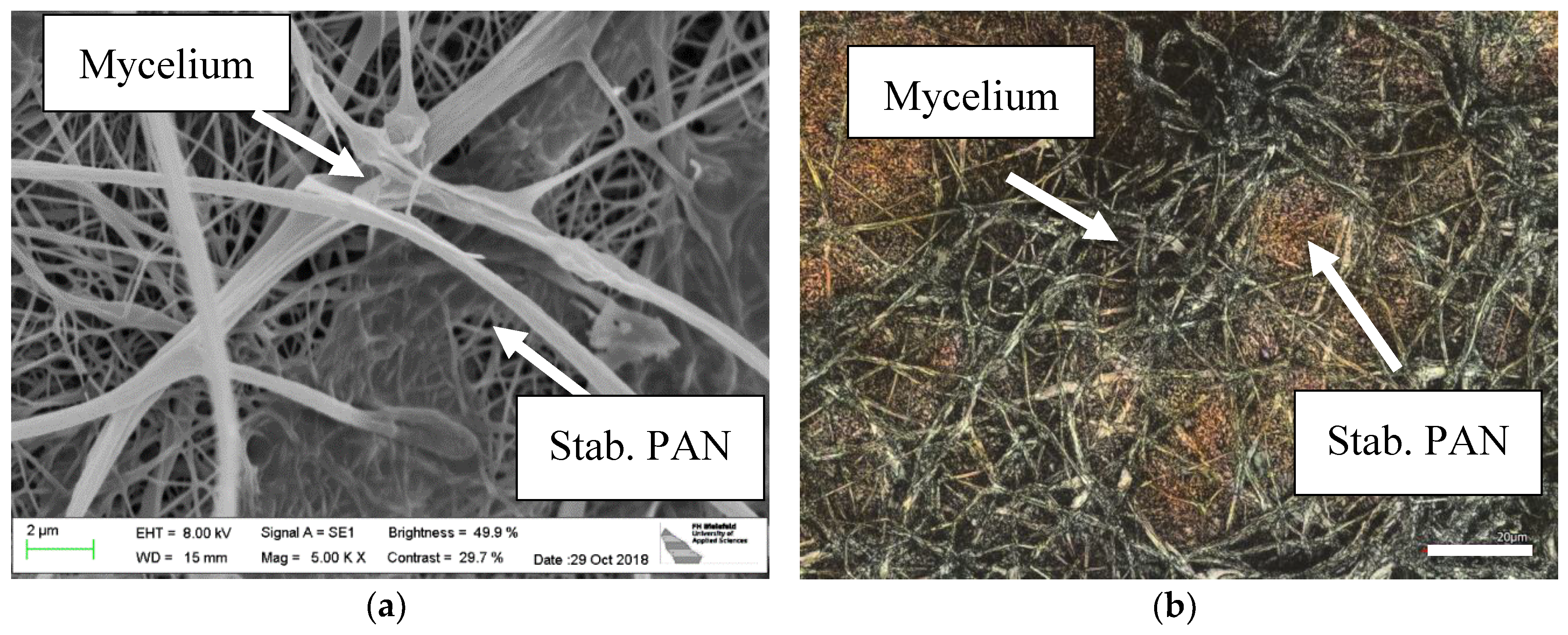 Nanomaterials 09 00475 g005