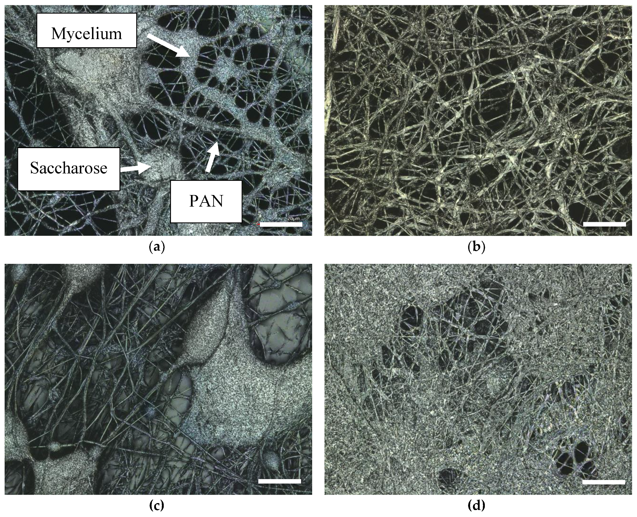 Nanomaterials 09 00475 g006