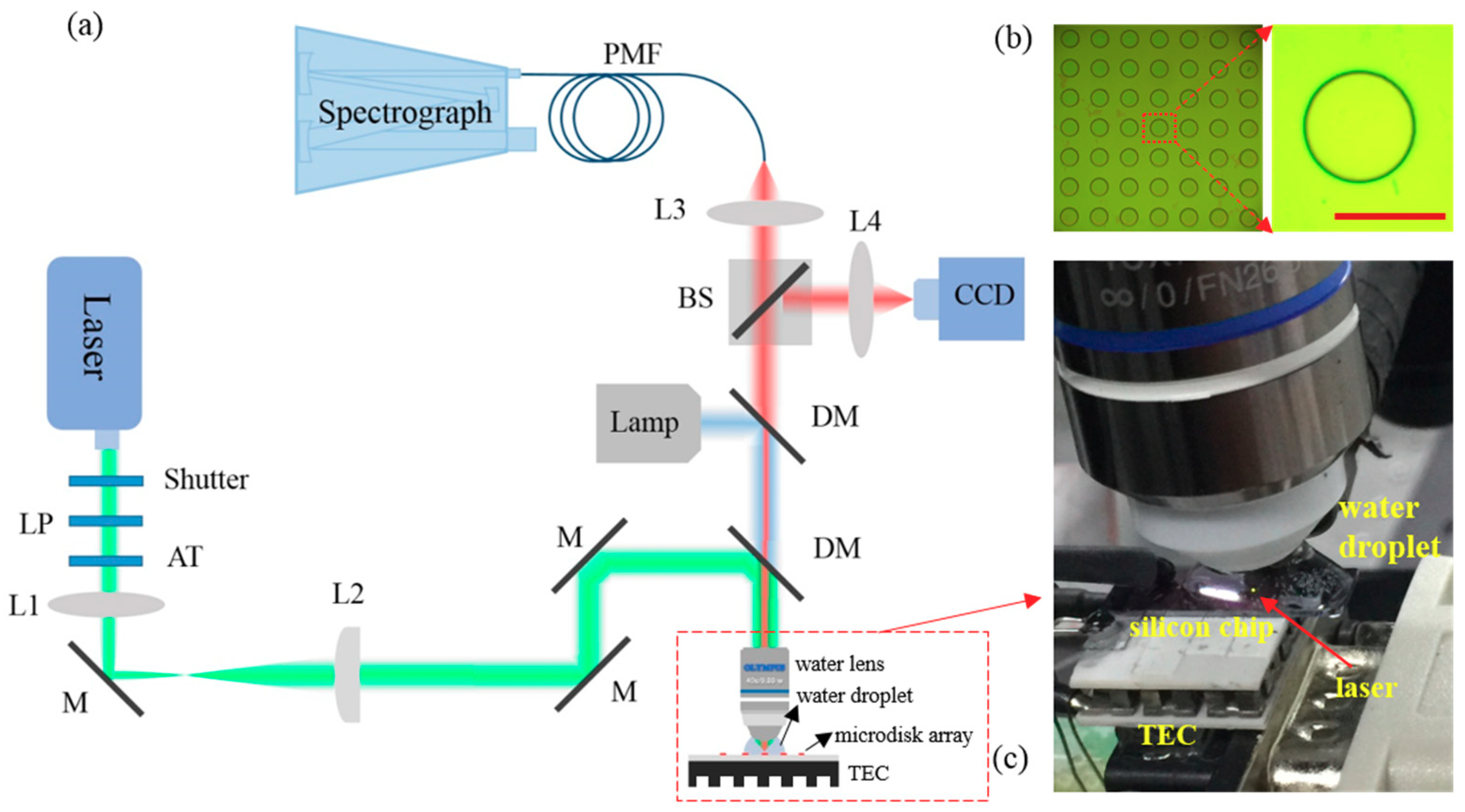 Nanomaterials 09 00479 g001